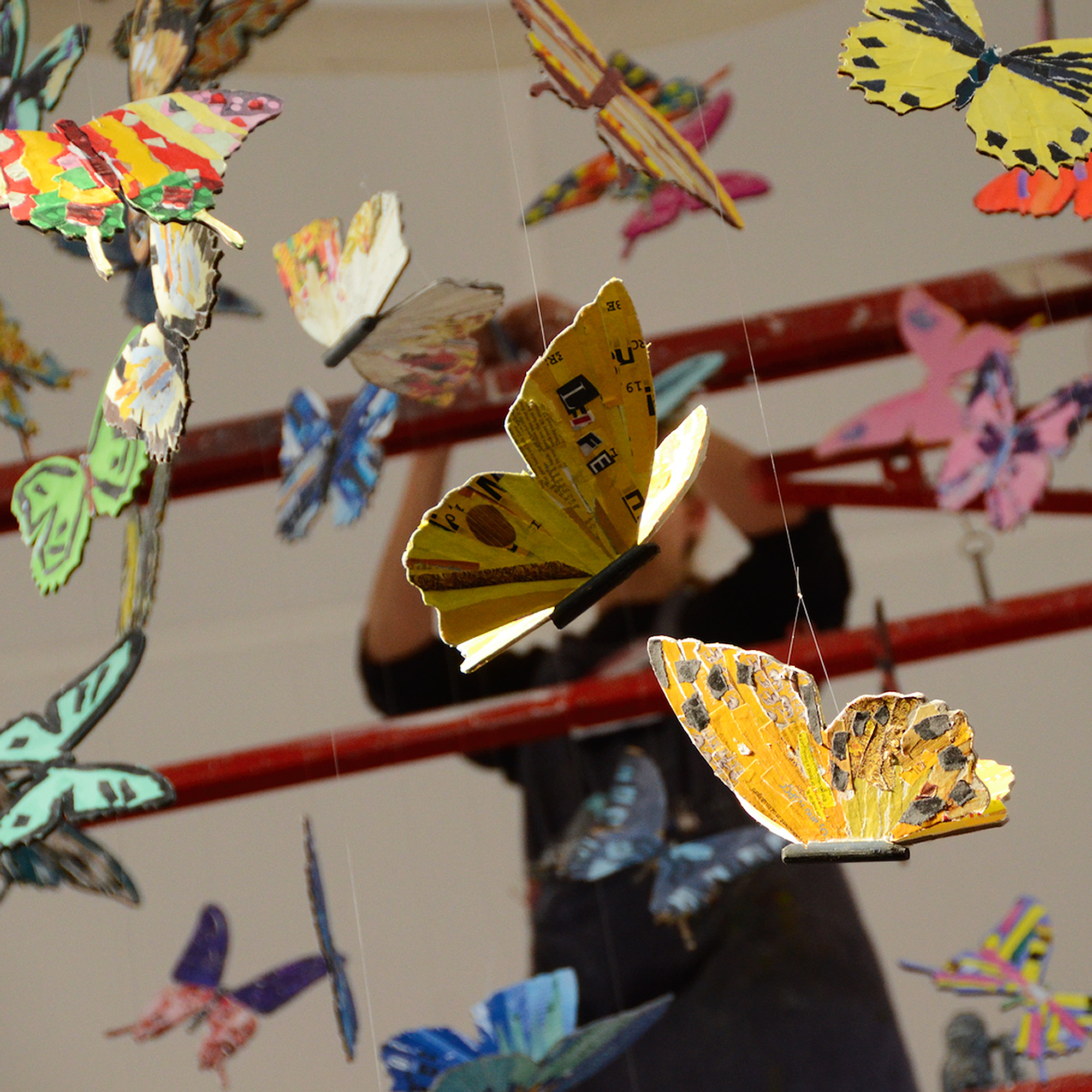 installing colourful butterfly display