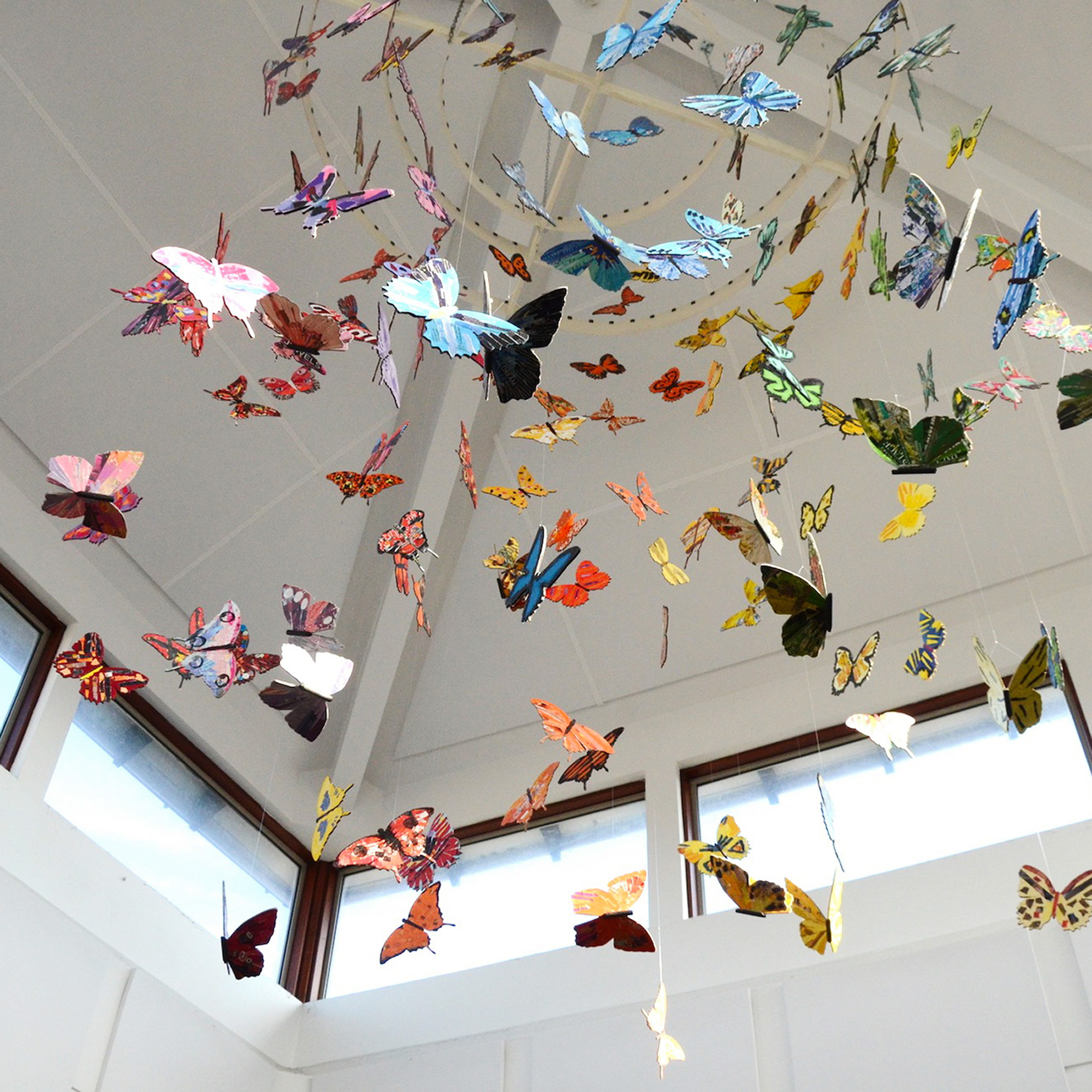 kaleidoscope of hanging butterflies