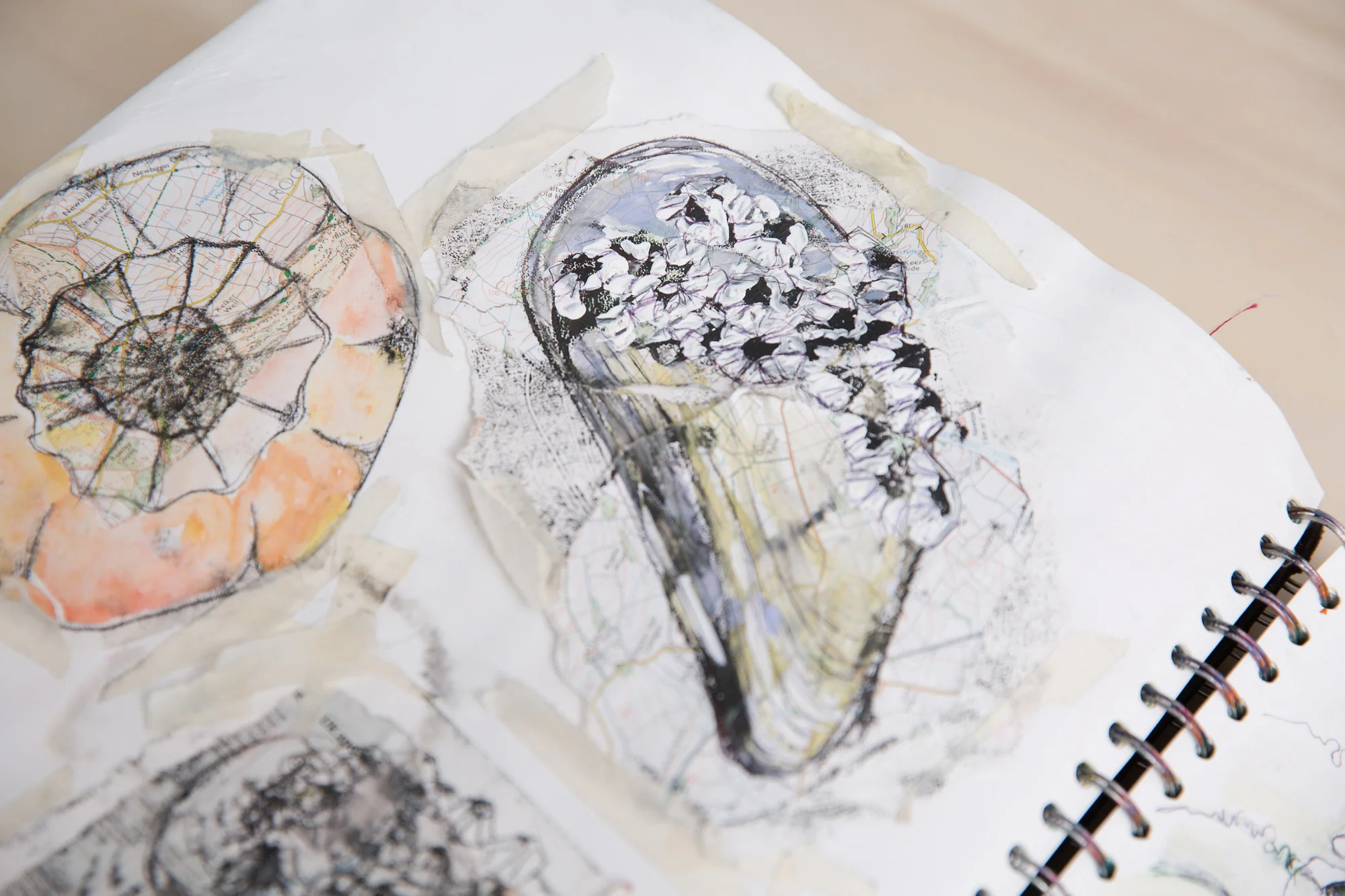shells sketch monoprint collage sketchbook journal
