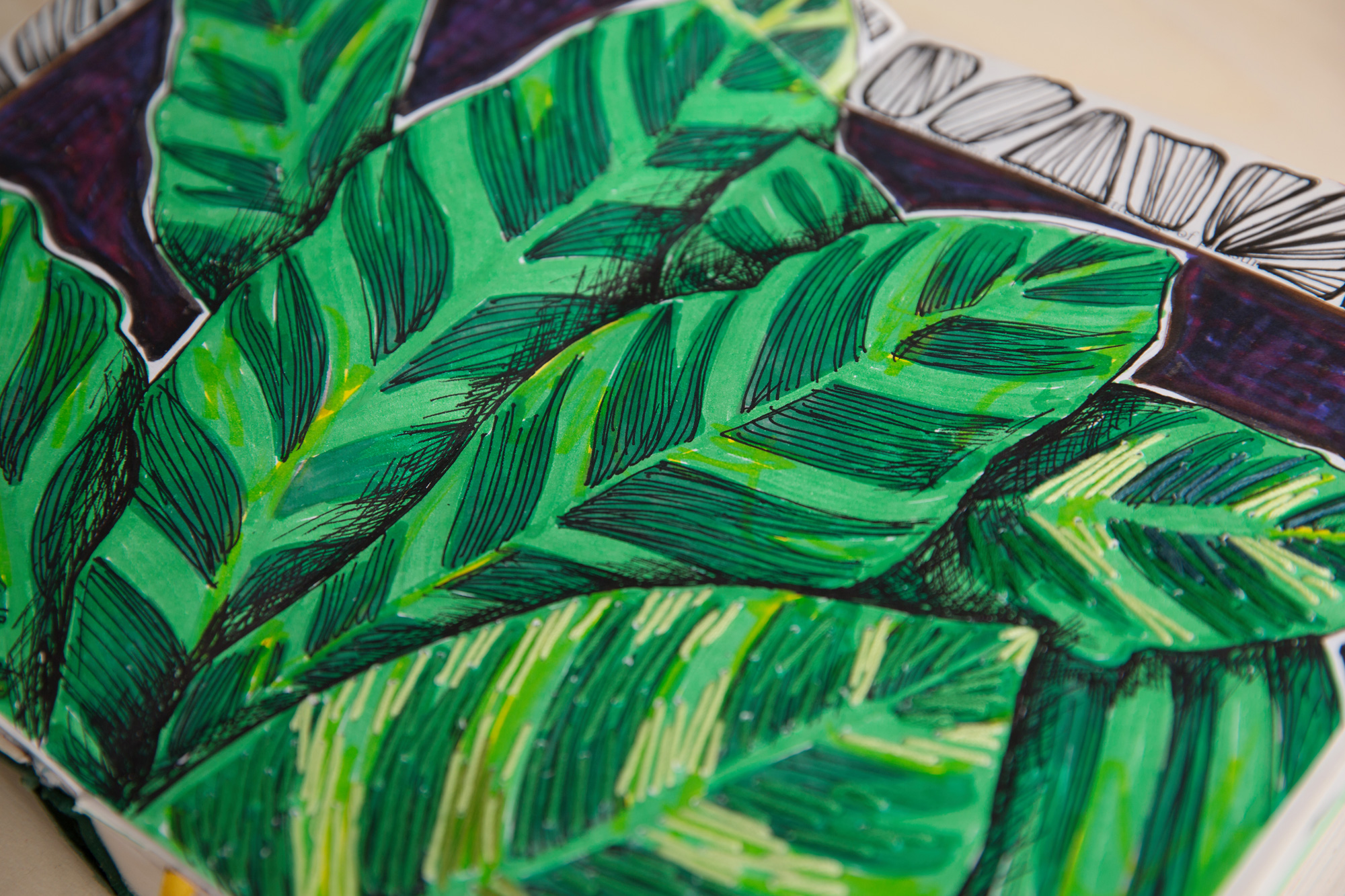 plants variegated leaf leaves drawing painting in sketchbook lesson art class in stafford