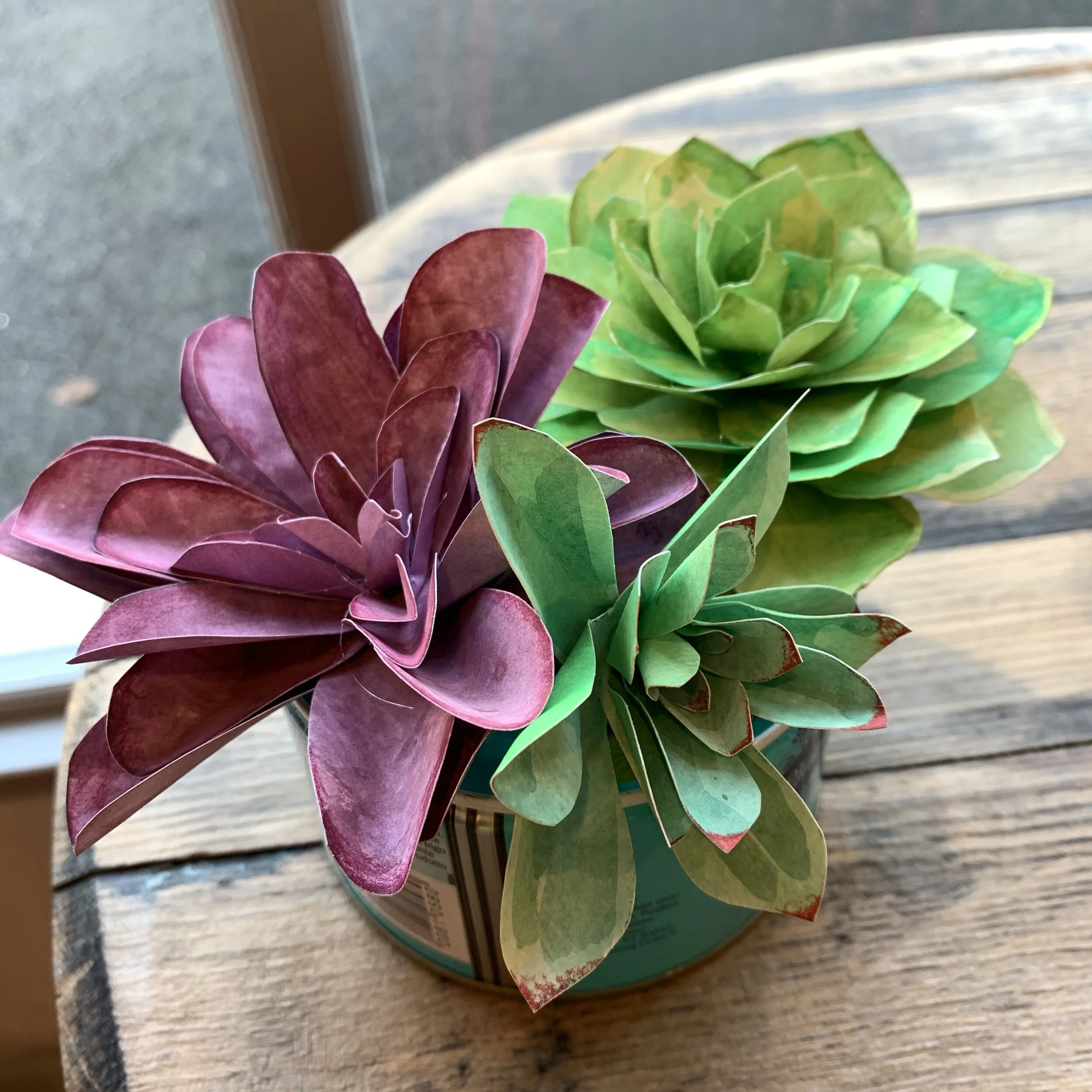 Paper succulent making kit