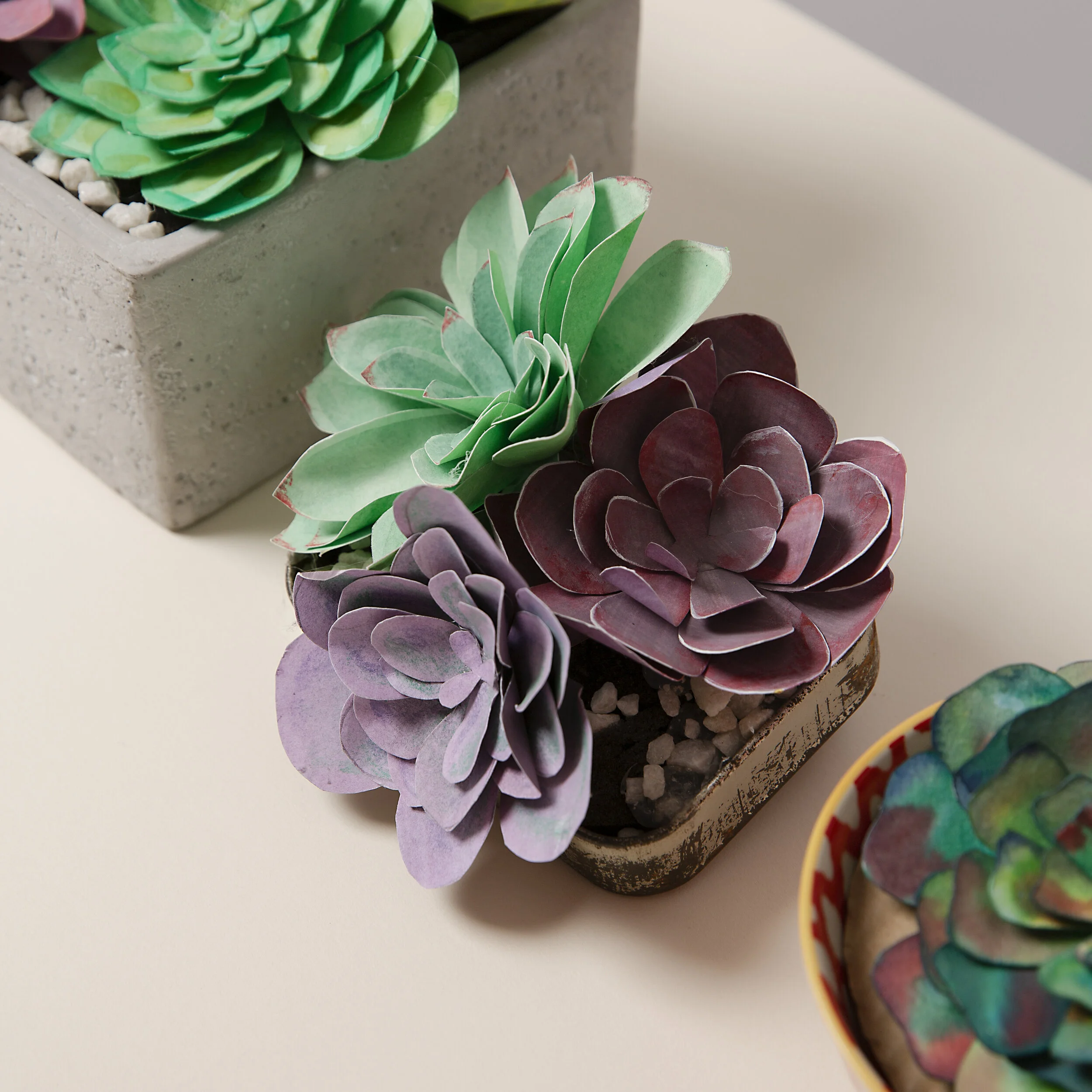 Plant themed craft gift set paper succulent making kit  ProteanArt -  Encouraging creativity
