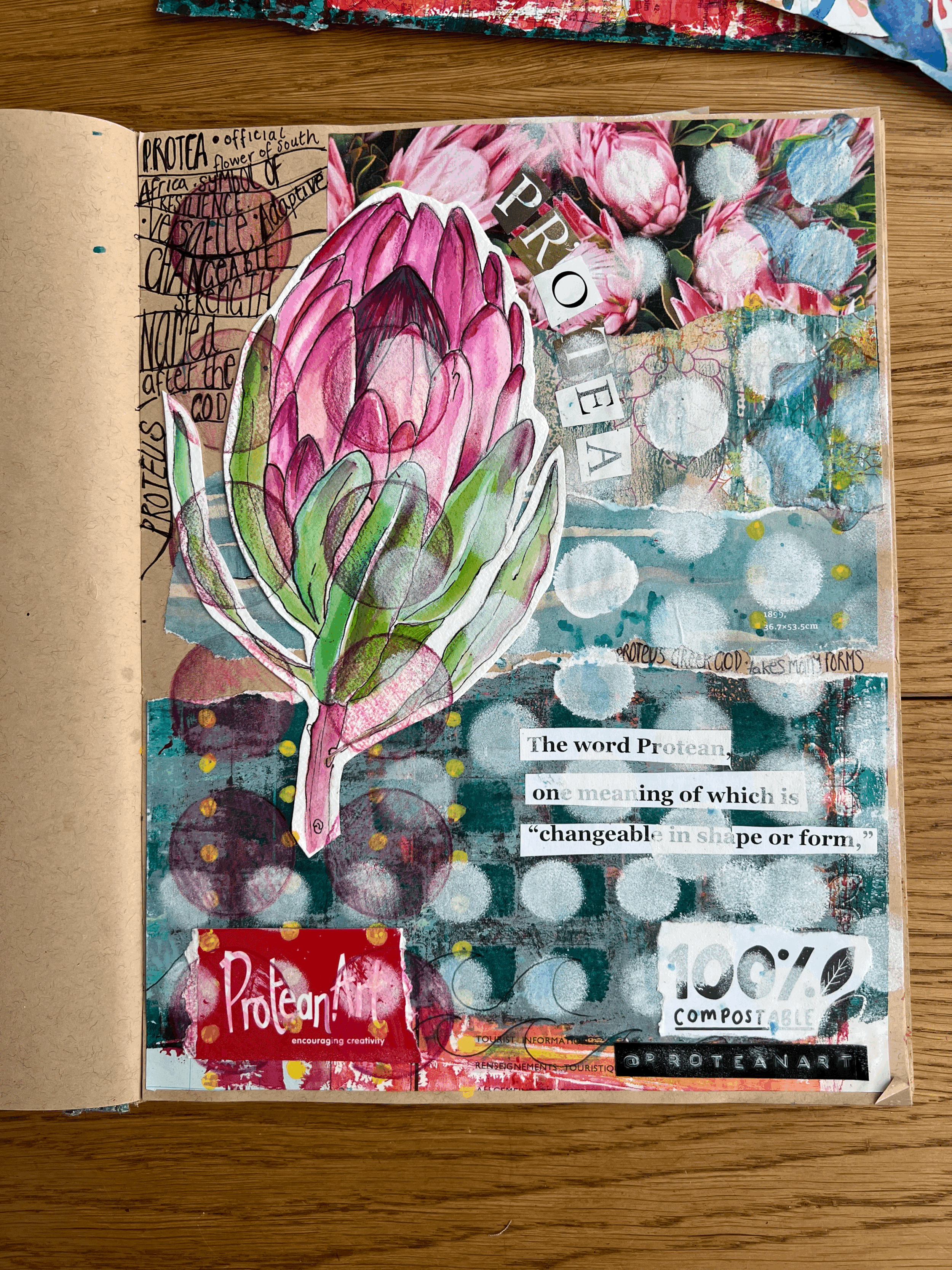 Protea flower art in art book journal stencil circles paint collage book page
