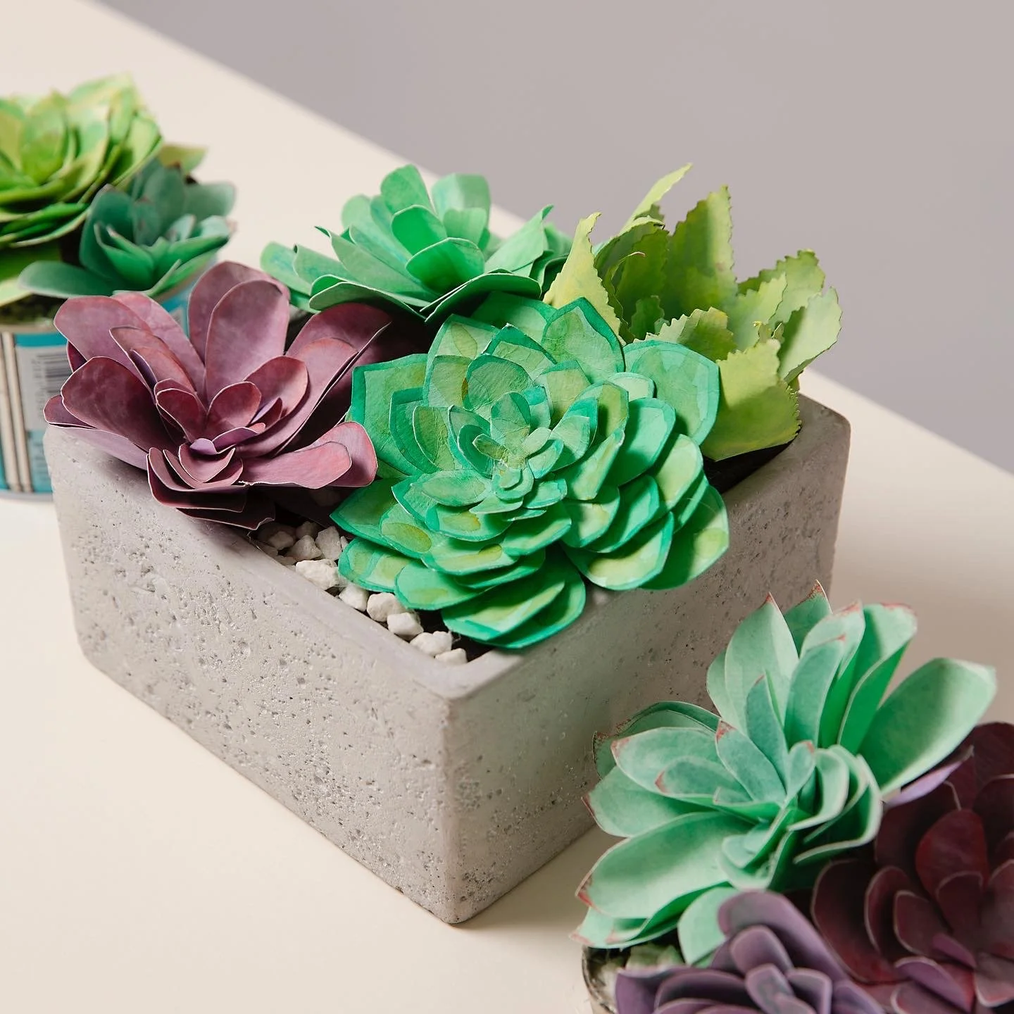 Paper plant making workshop