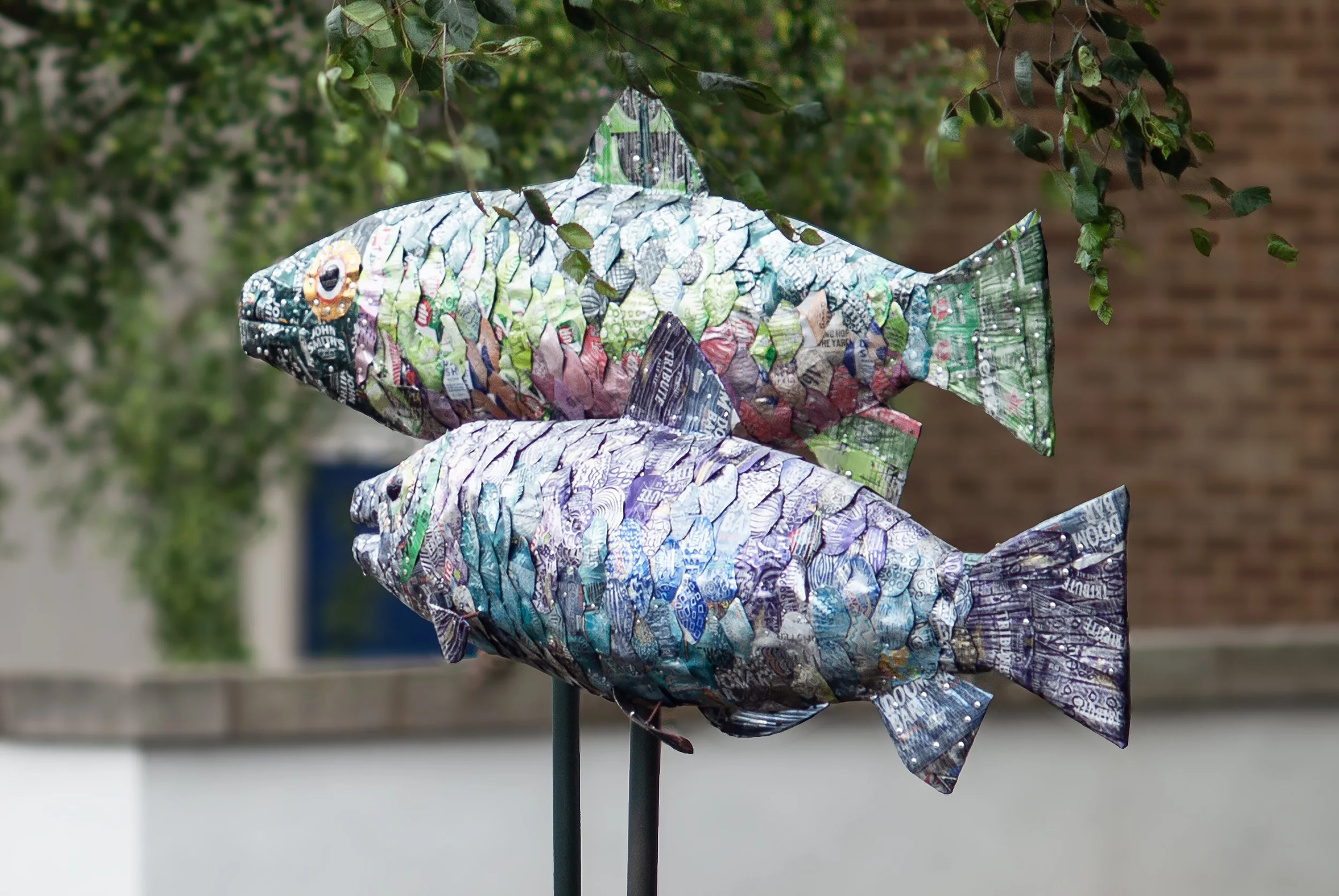 blue and green fish.jpg