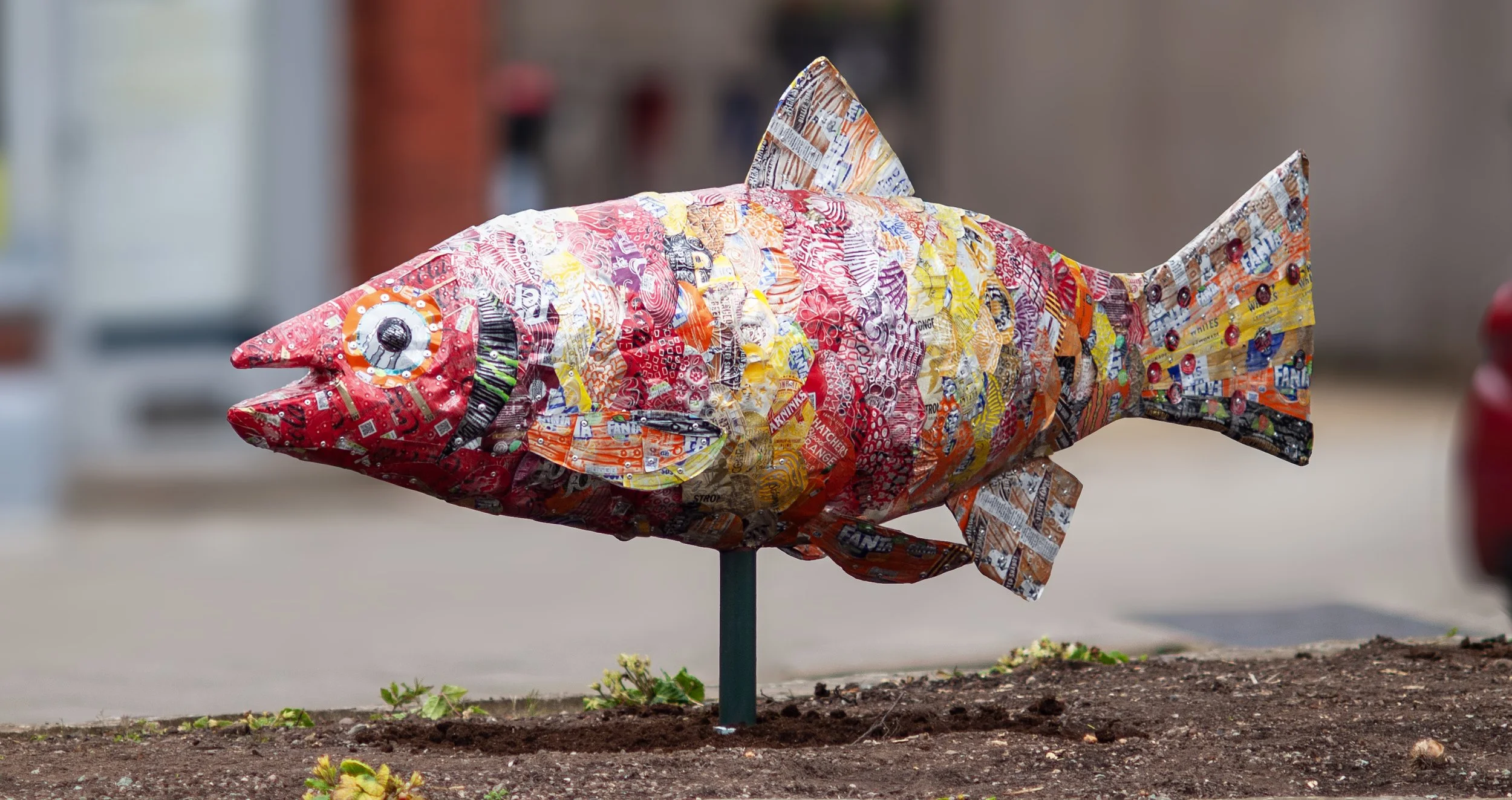 red fish hub view.jpg