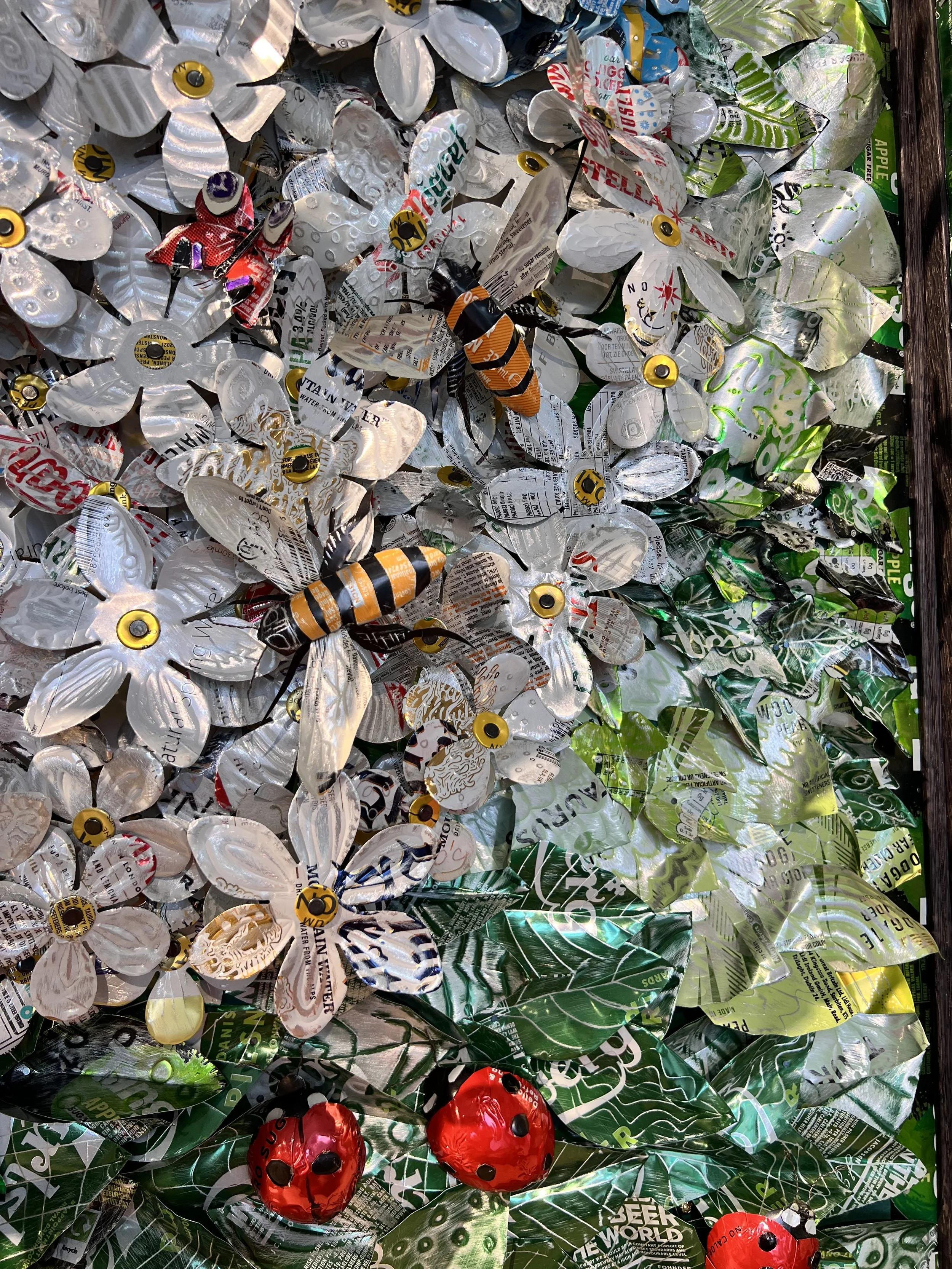 insect detail.jpeg