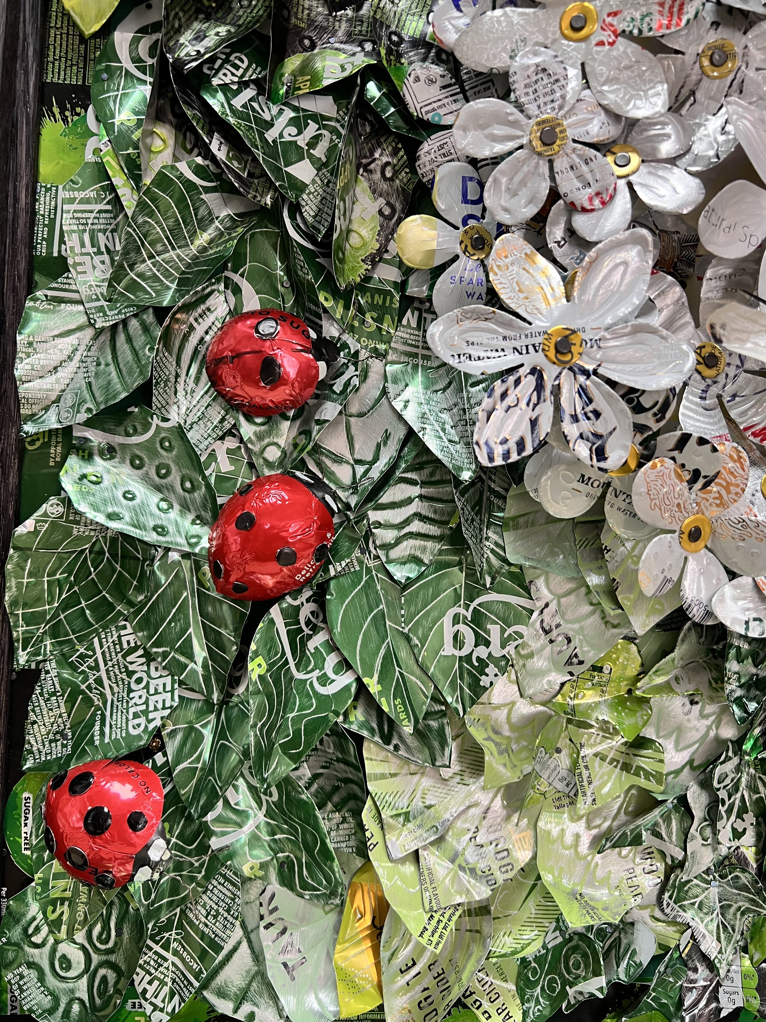 ladybirds.jpeg
