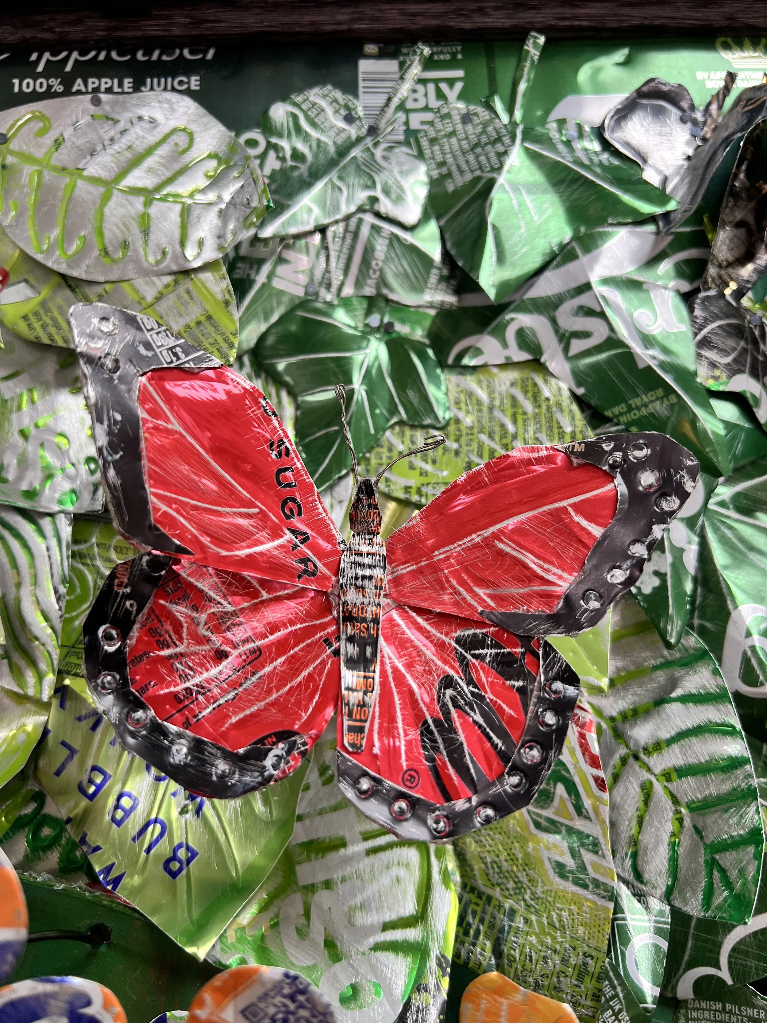 red butterfly.jpeg