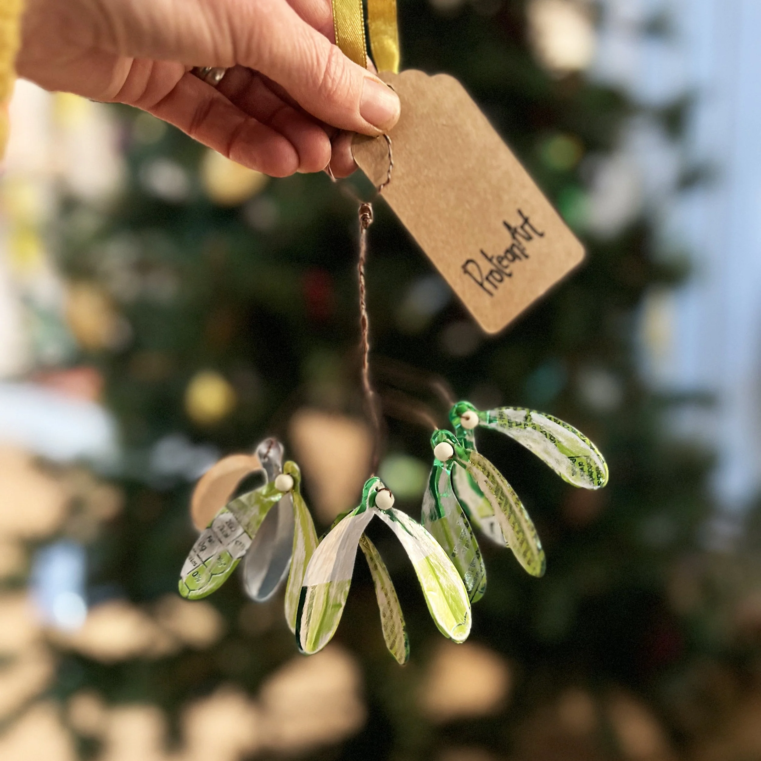 mistletoe sprig.jpg