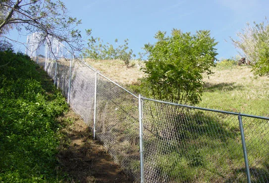 FencesA.jpg