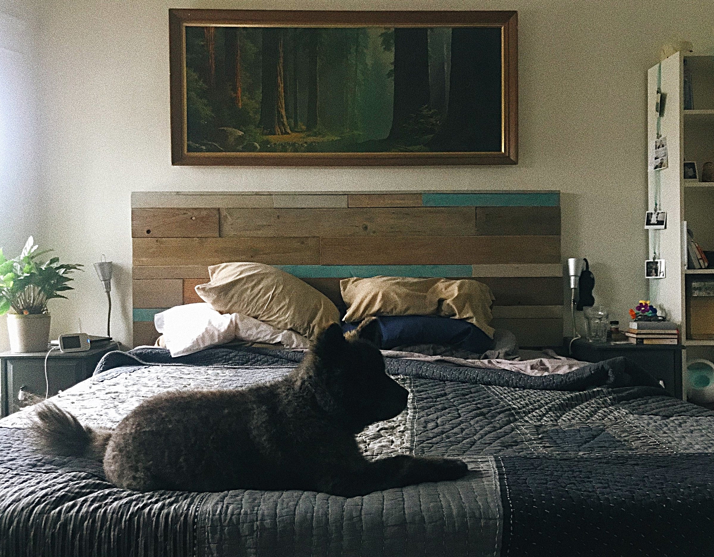 image1 2.jpeg