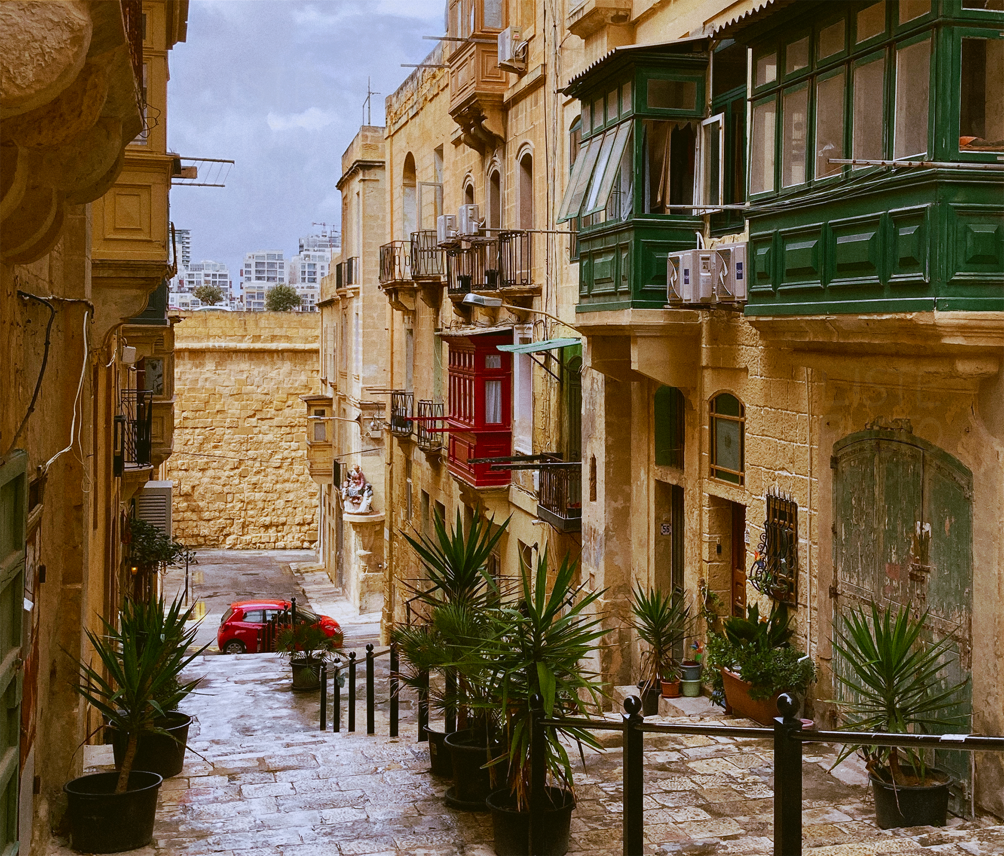 IMG_E4939_1.png