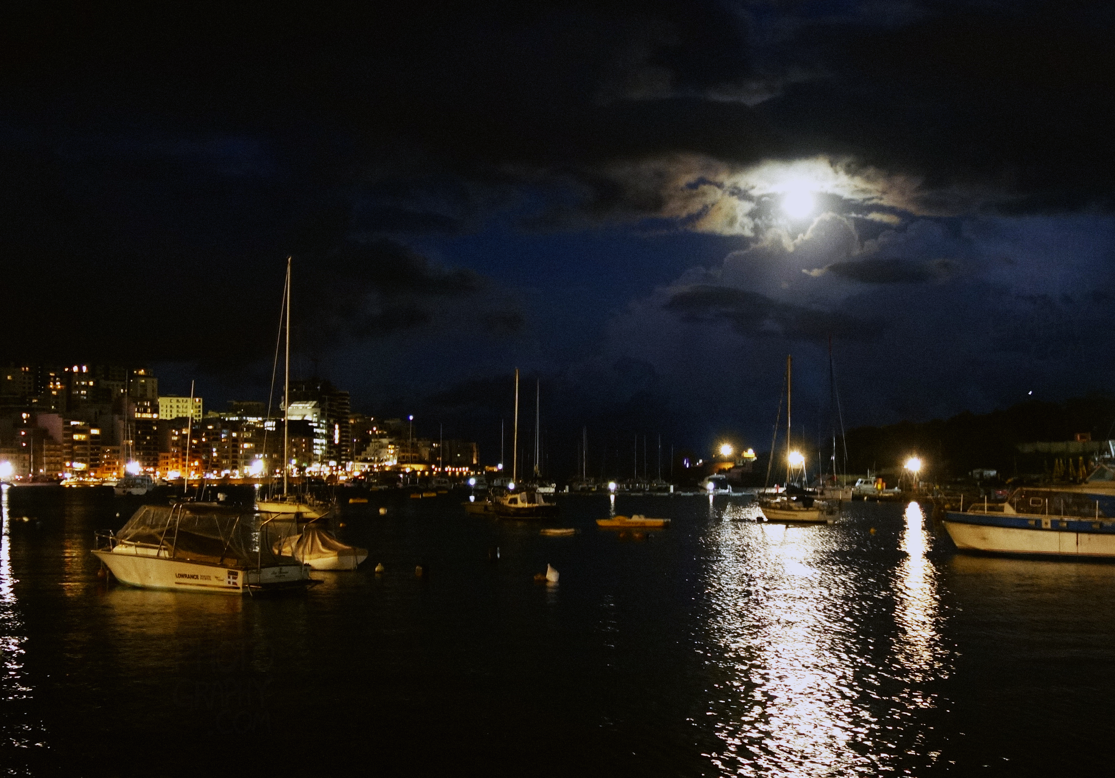 DSC03196_2.png