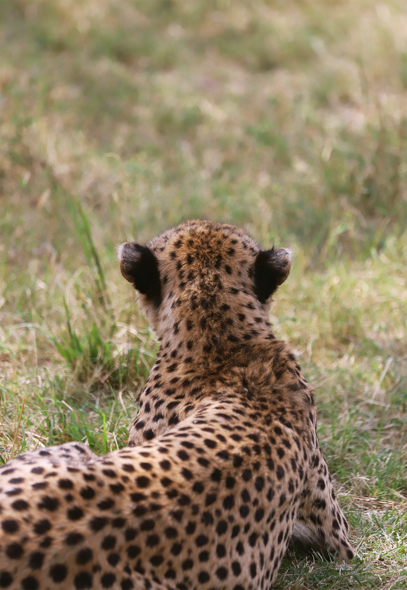 IMG_7145.png