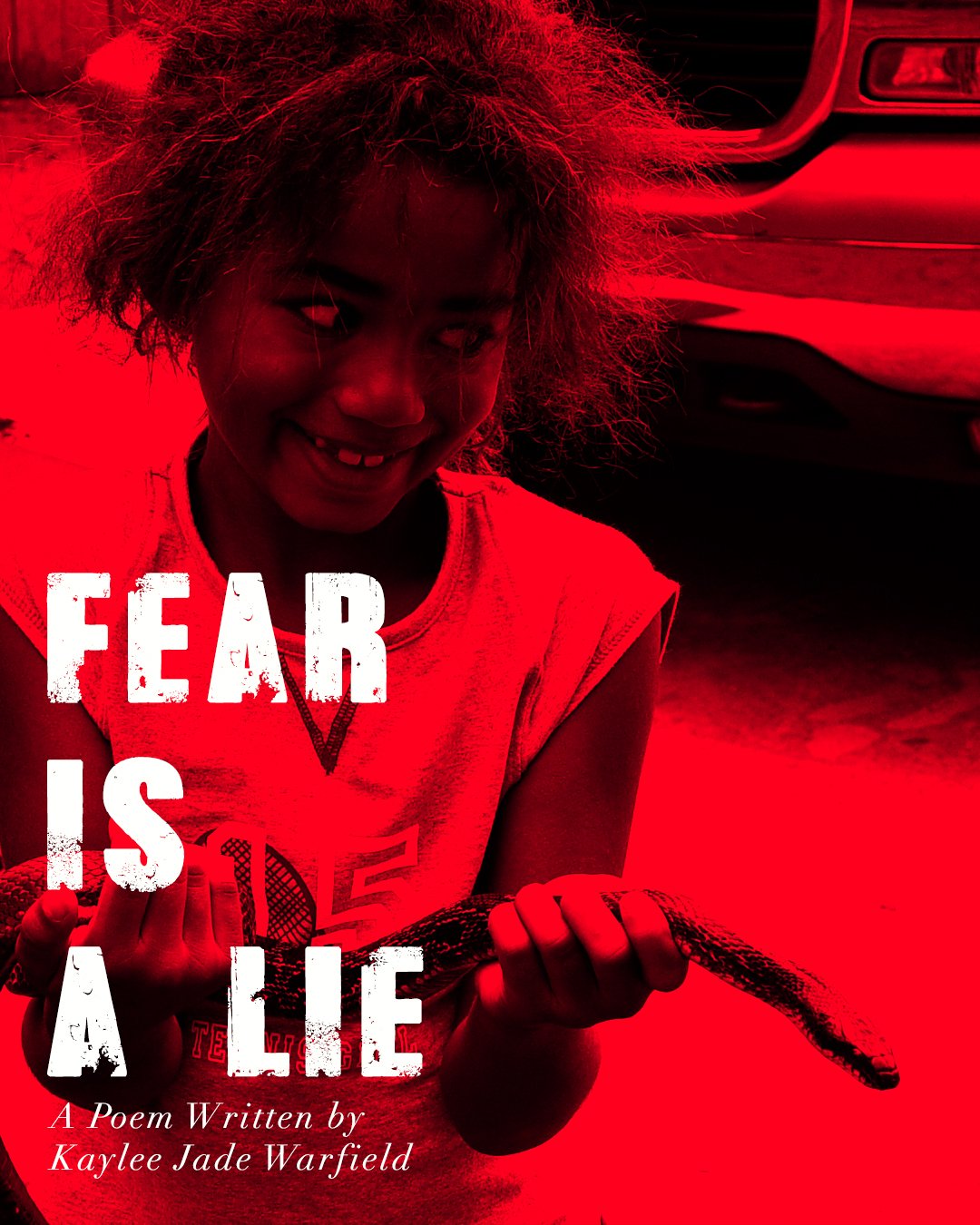 fear_is_a_lie_post1.JPG
