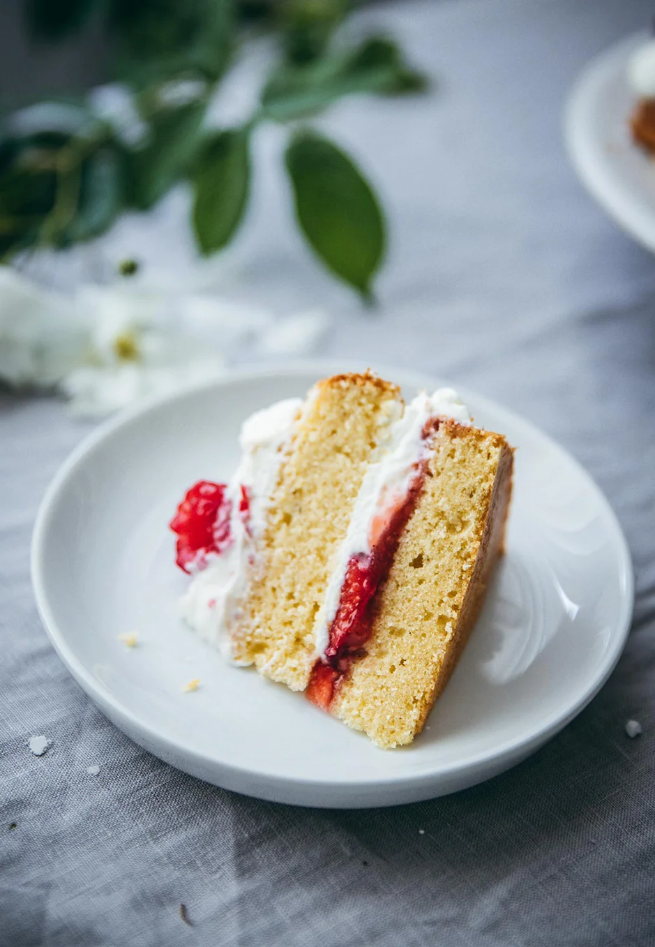 Luftig und locker ist der Wieder Biskuit für Victoria Sponge Cake.