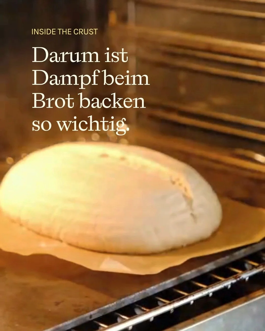 Dampf ist beim Backen von Broten elementar f&uuml;r einen guten Ofentrieb und eine knusprige Kruste. 

Gibt es eine Methode, die sich bei euch zum Schwaden etabliert hat? Dann schreibt sie uns gerne in die Kommentare!

#schwaden #brotbacken #brot #sa