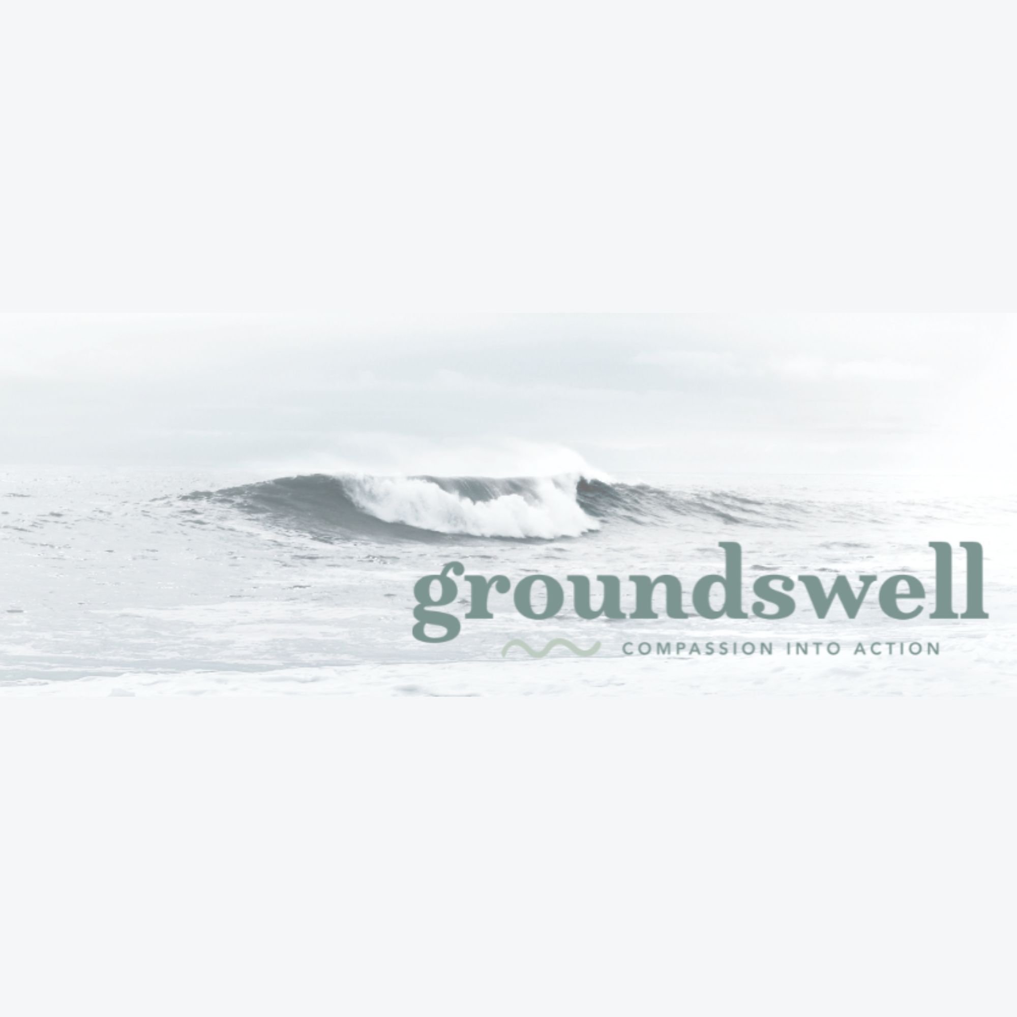 GROUNDSWELL 2026 : Compassion Into Action 