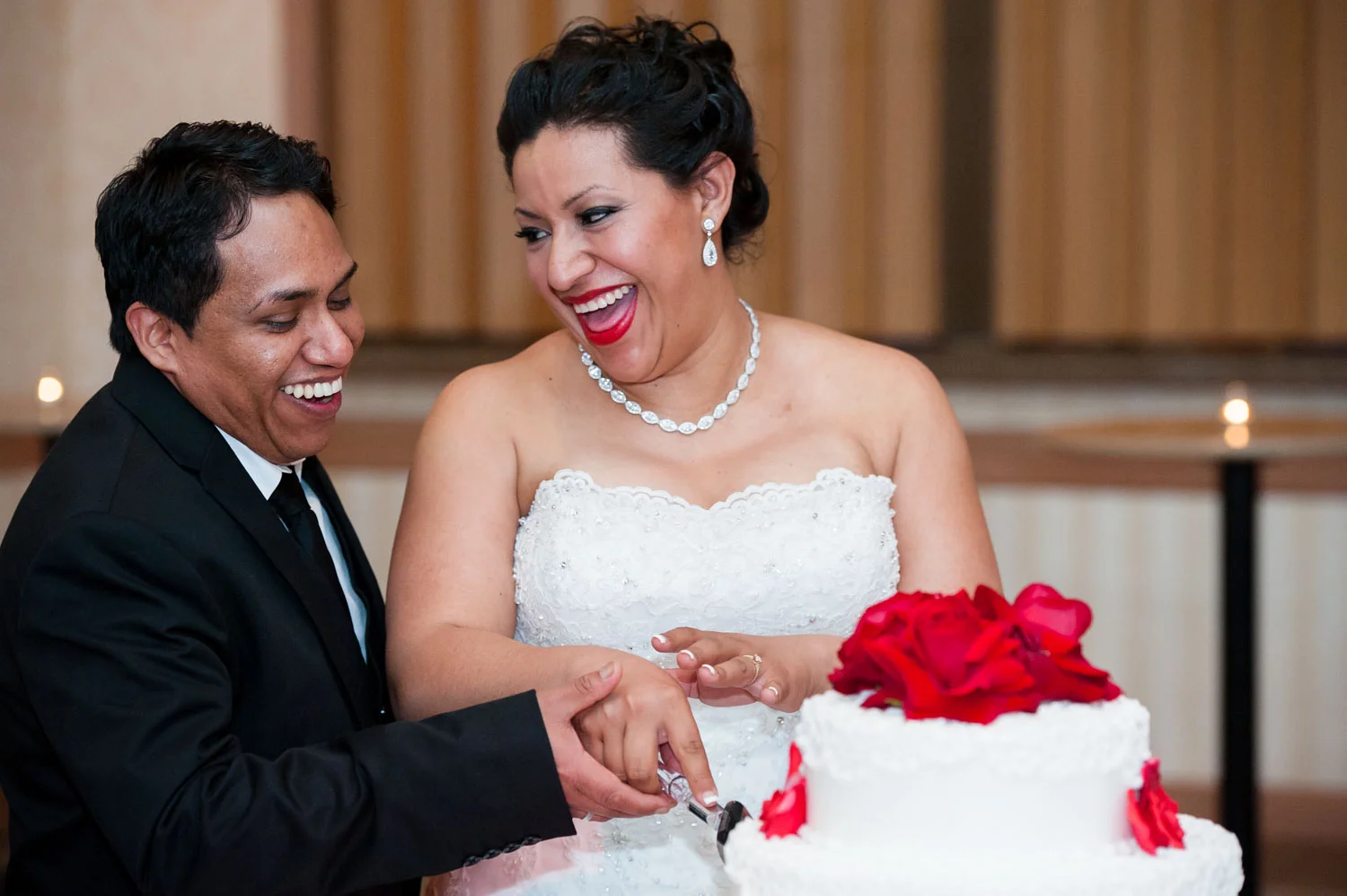 Lisa-Marie-Cerny-Chicago-wedding-photographer-17.jpg