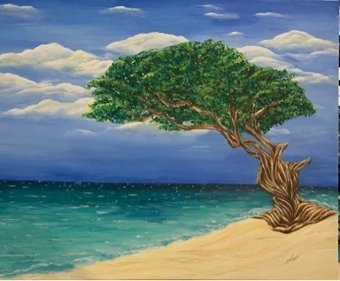 Divi Divi Tree-Aruba