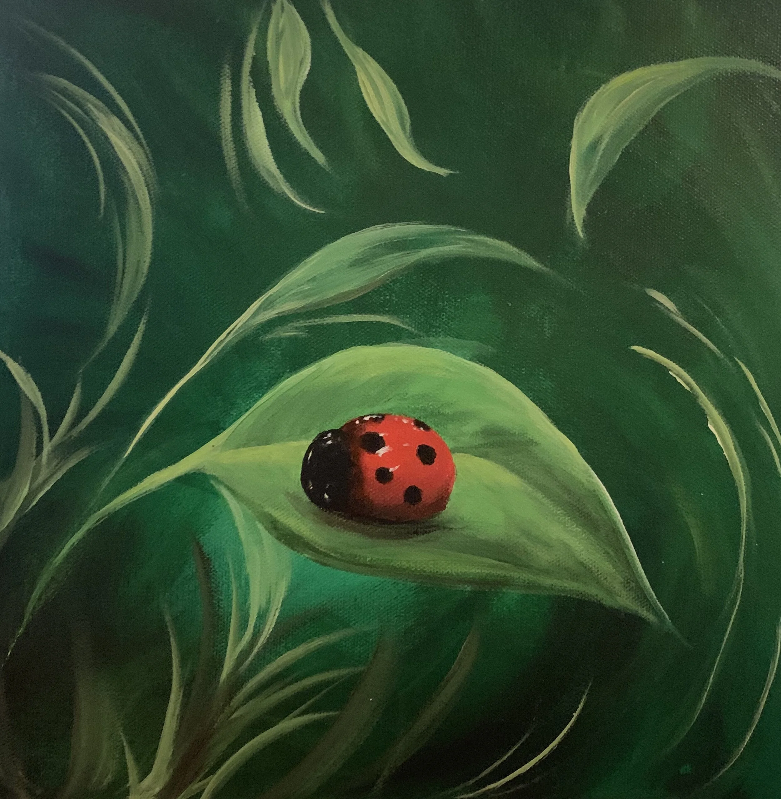 Ladybug.jpg