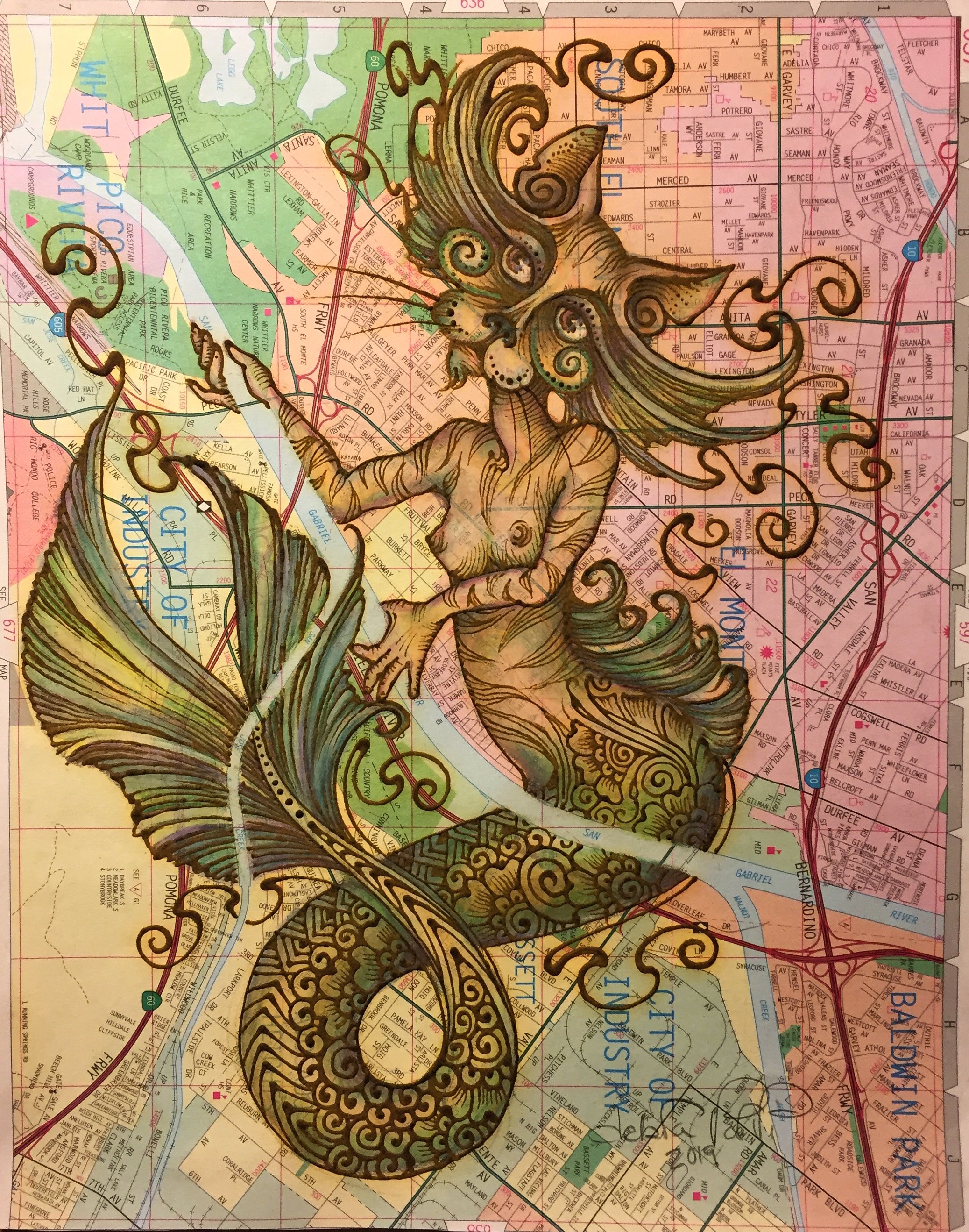 San Gabriel River Catfish