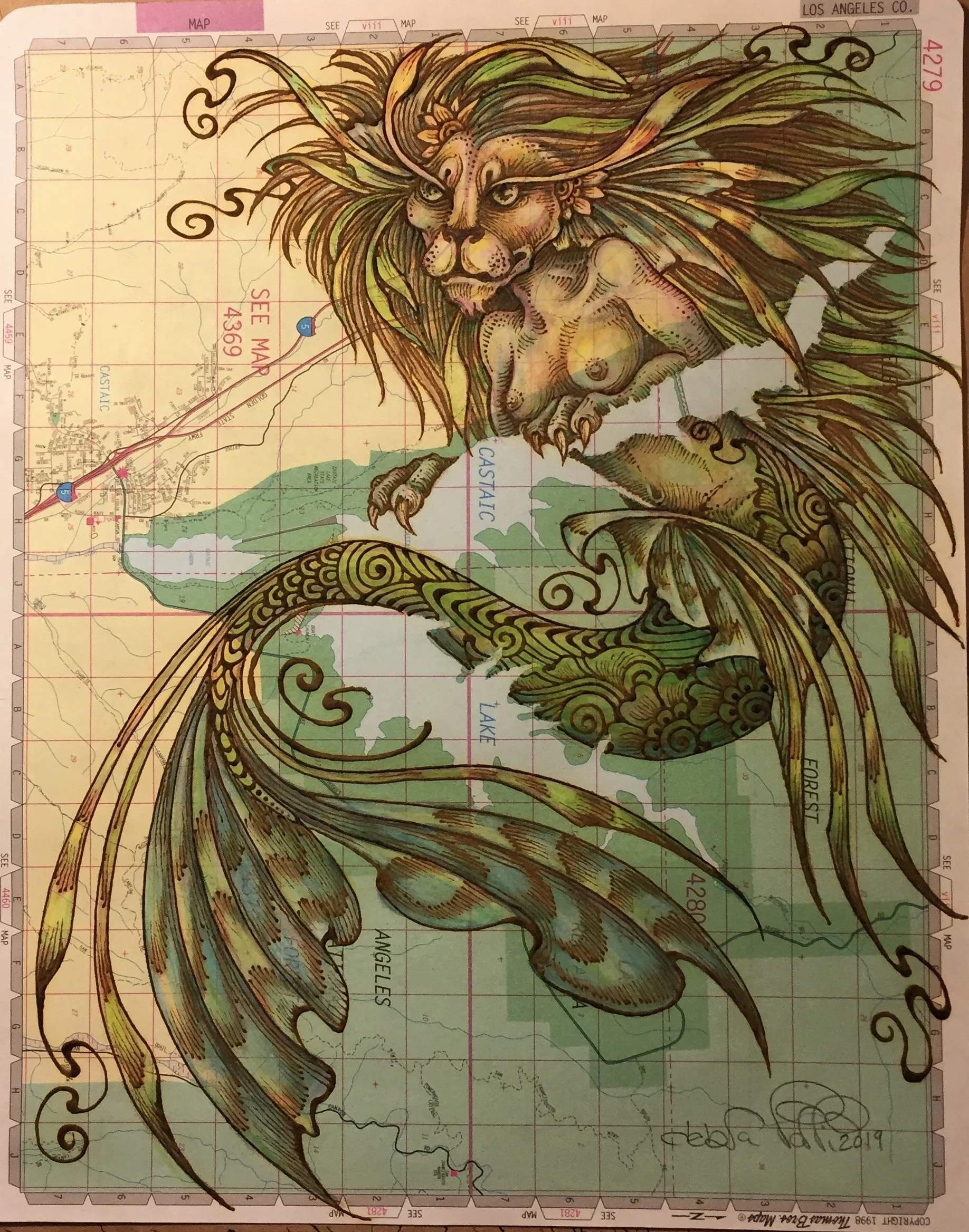 Catfish of Castaic Lake