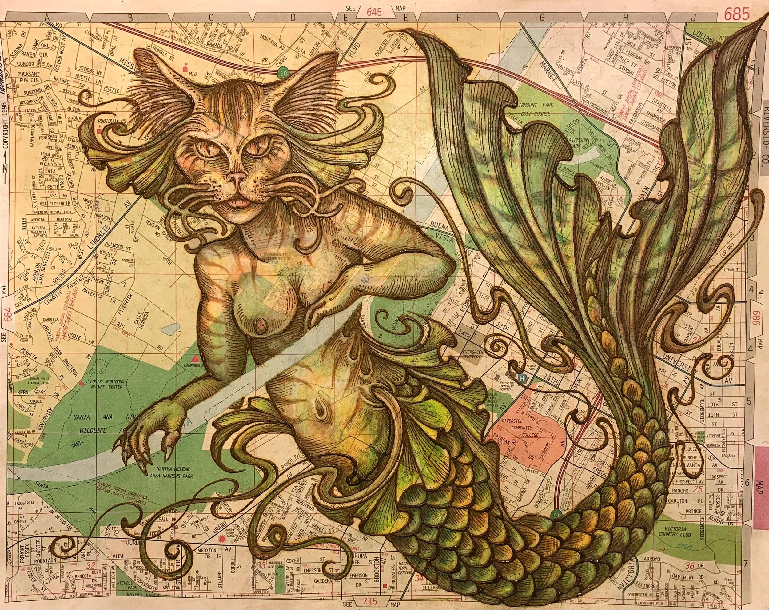 Santa Ana River Catfish