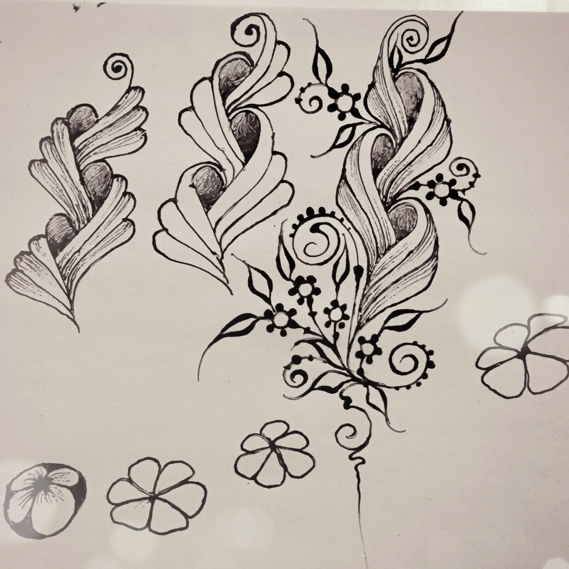 Beginning Drawing Classes