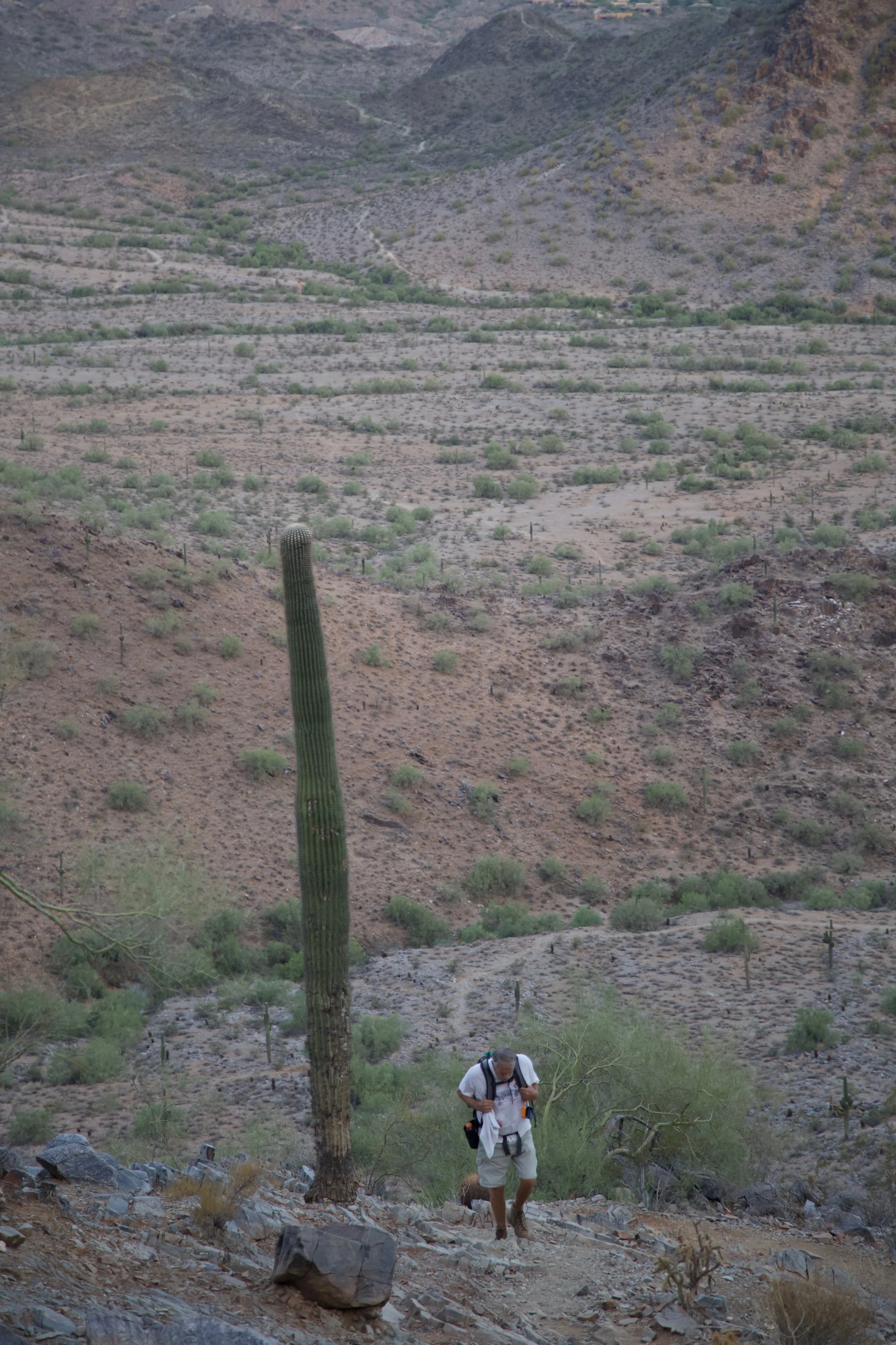 Arizona. (3B)