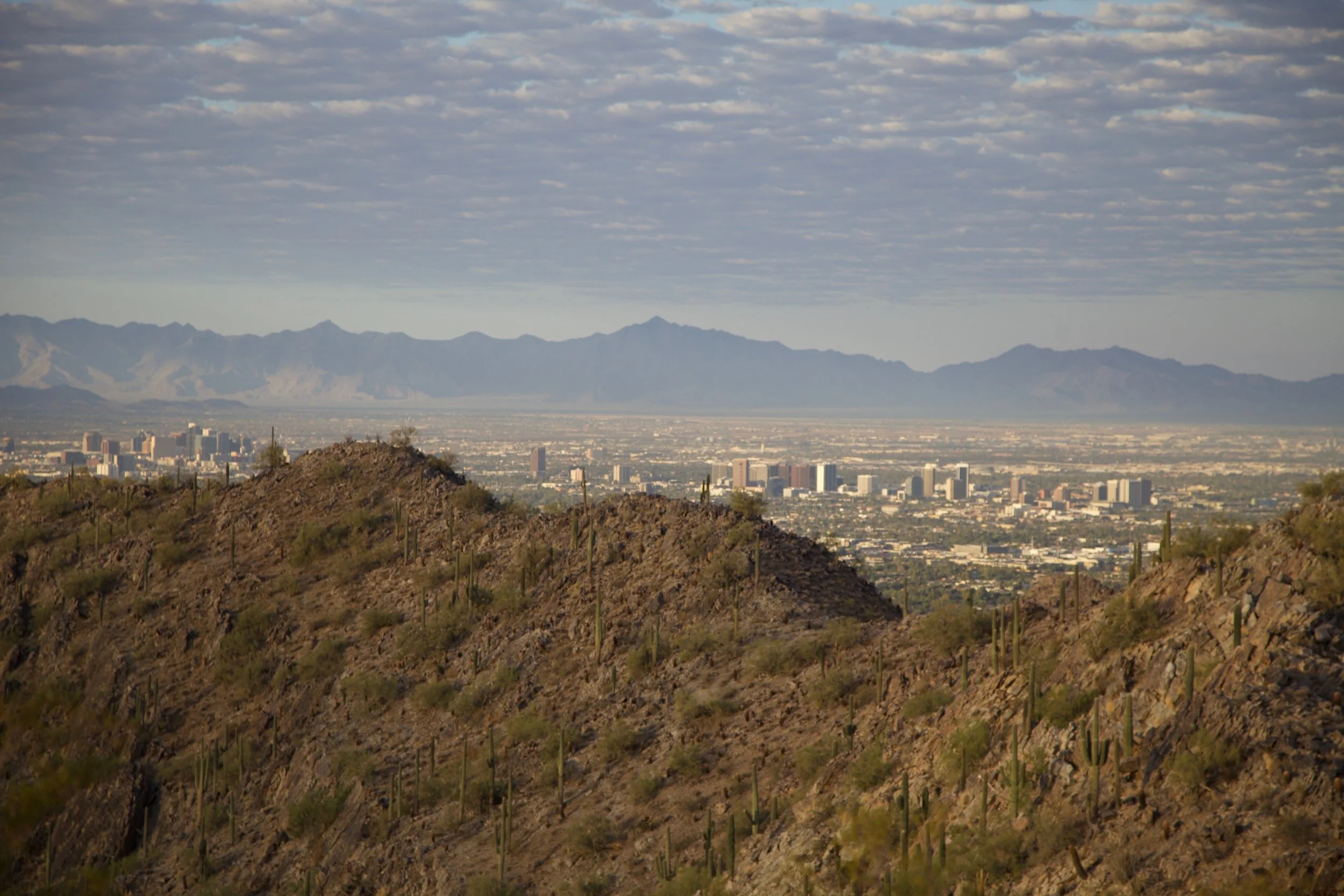Arizona (2B)