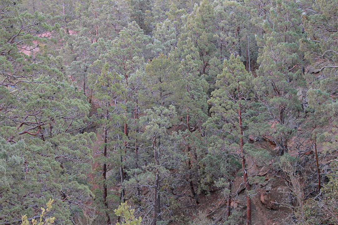 Sedona-11.jpg