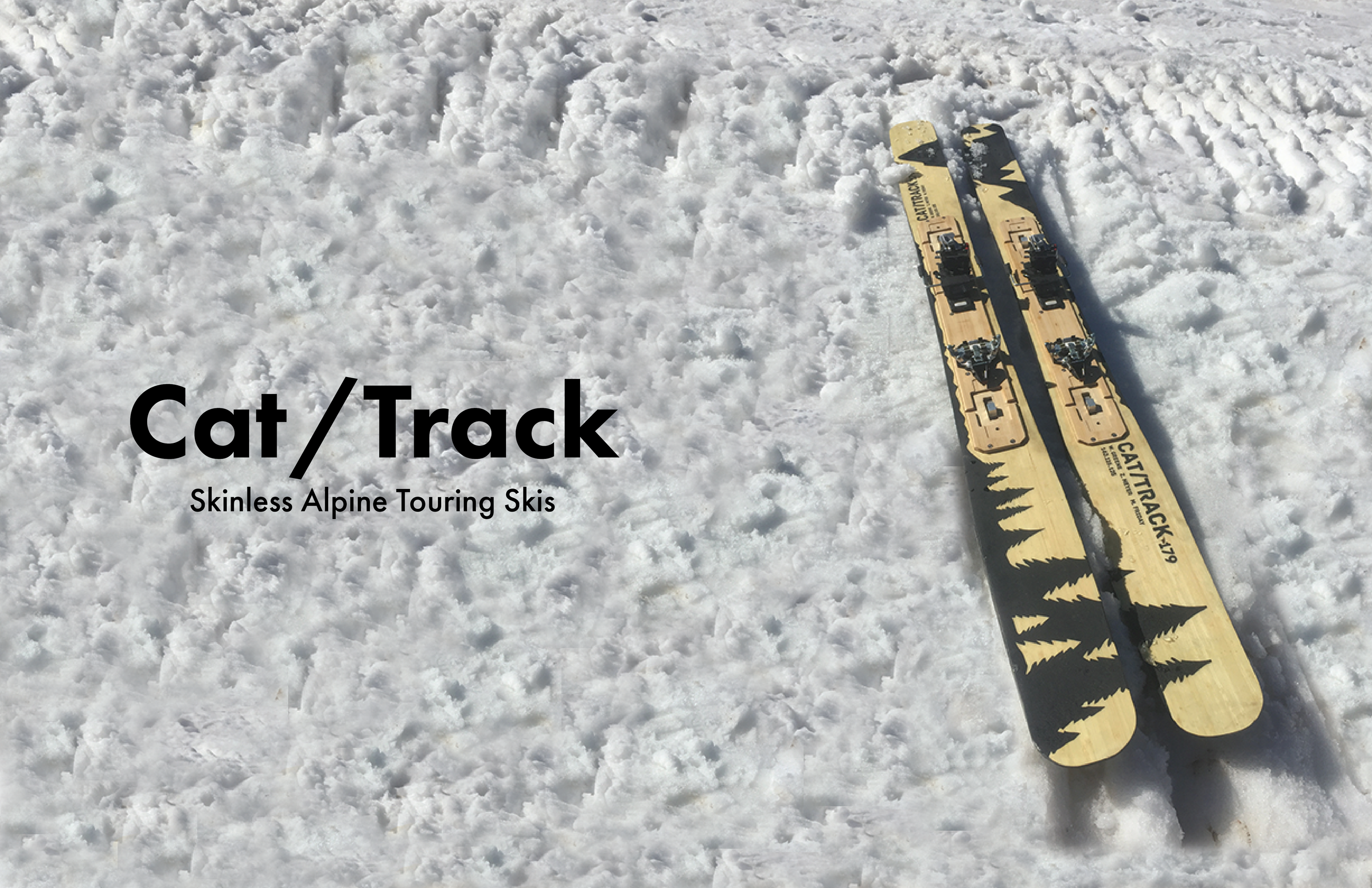 Cat/Track — HoweGreene Designs