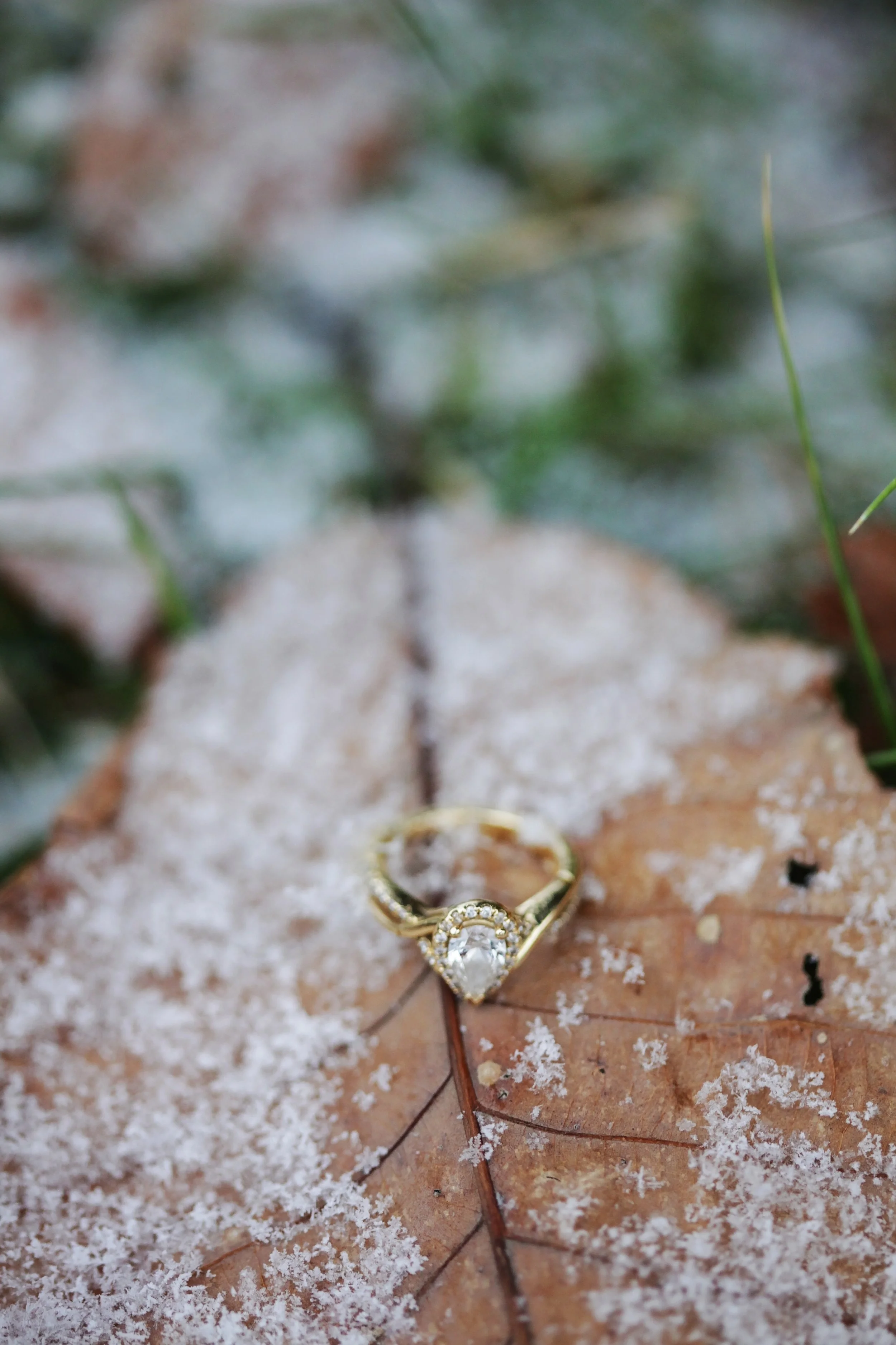 depth-of-field-engagement-ring-frost-776372.jpg