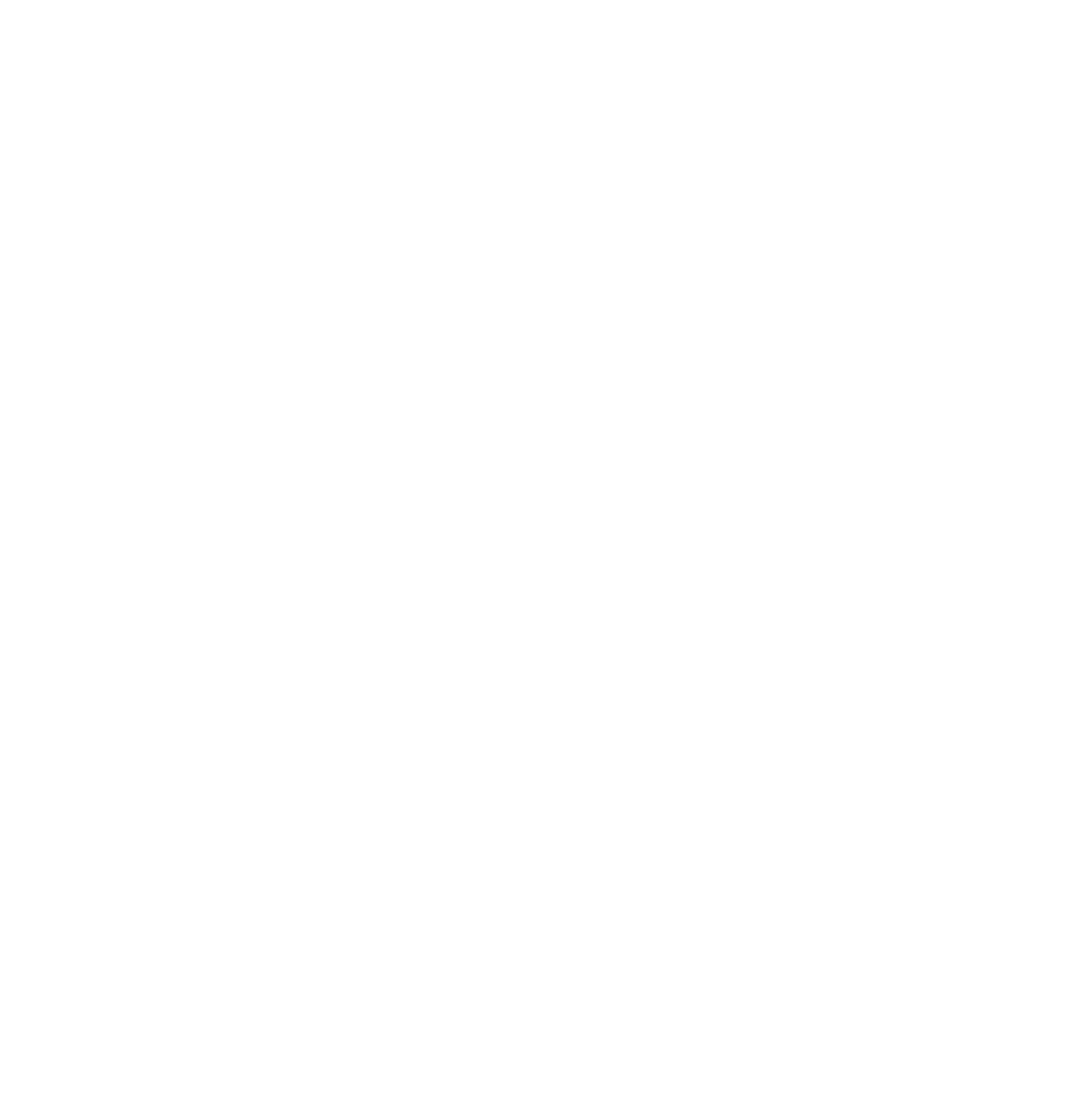 PRIME_LOGO_KnockOut_Prime_Group.png