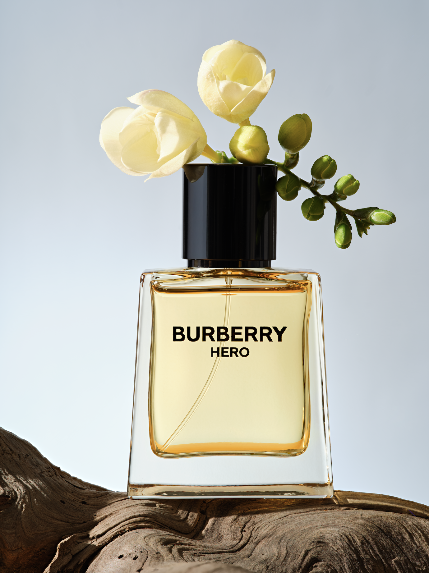 Screenshot 2025-05-07 at 11.16.28 AM.png