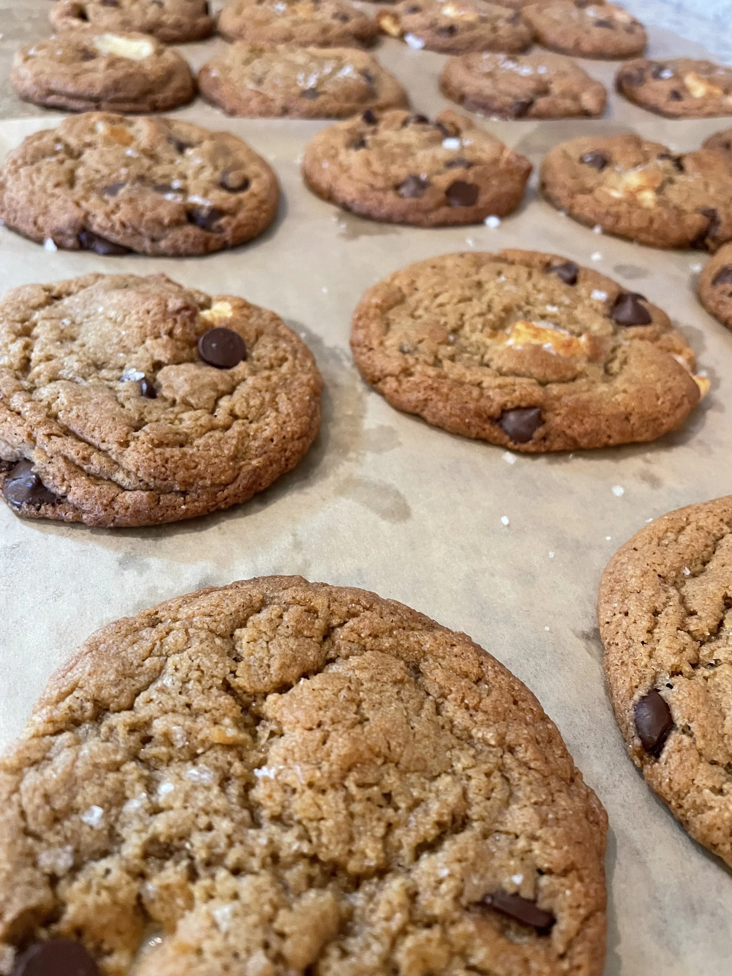 Sourdough Cookies by Annie Clapper