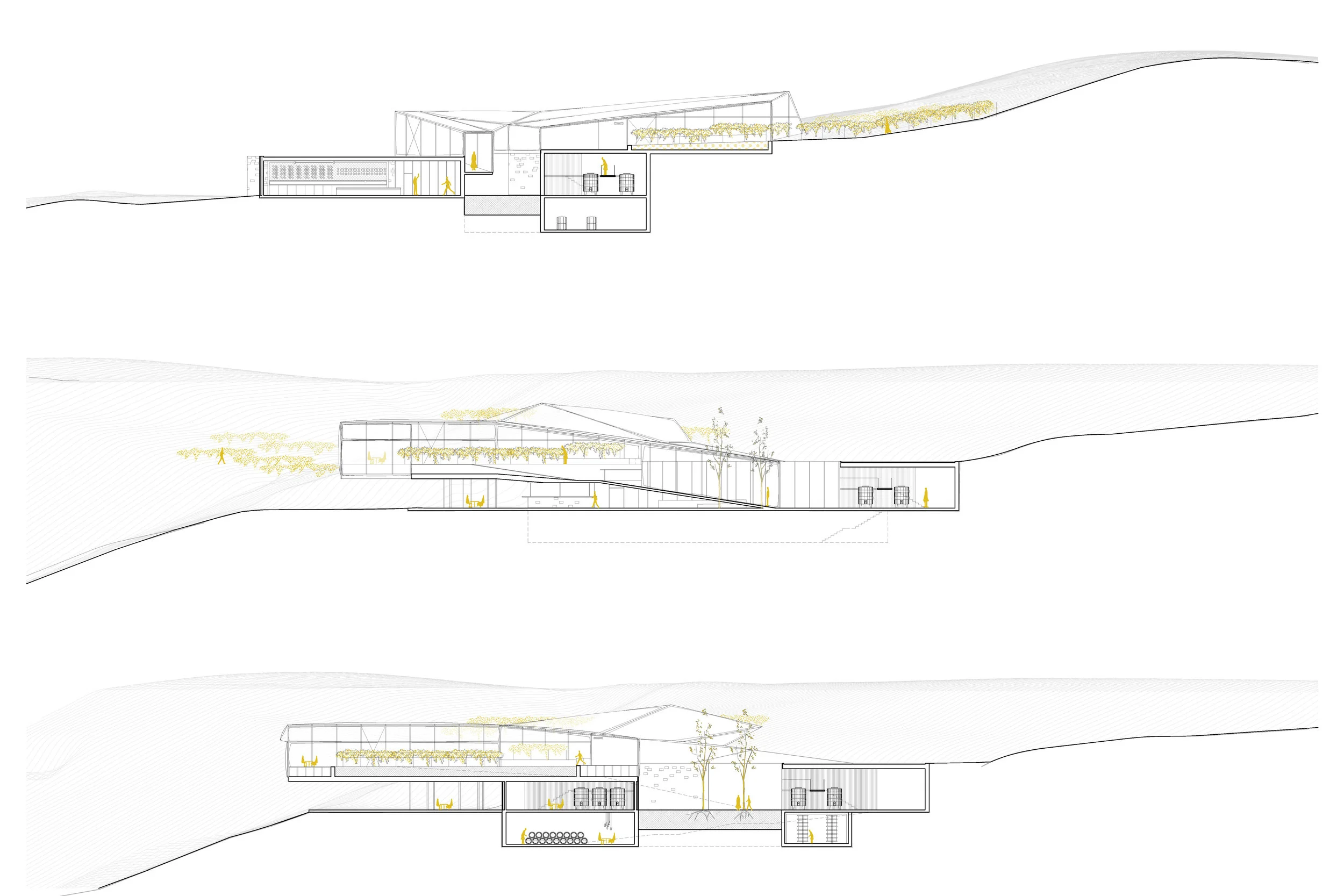 Sections