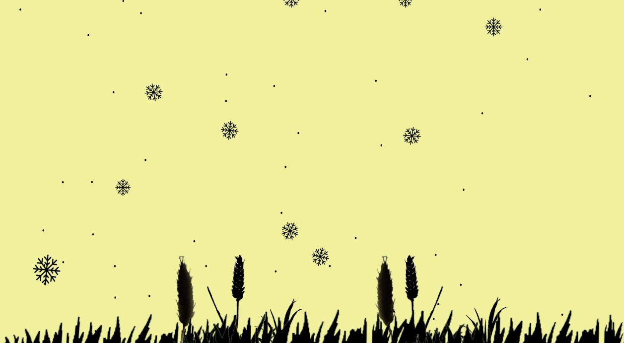 Screen Shot 2019-11-21 at 2.33.31 PM.png