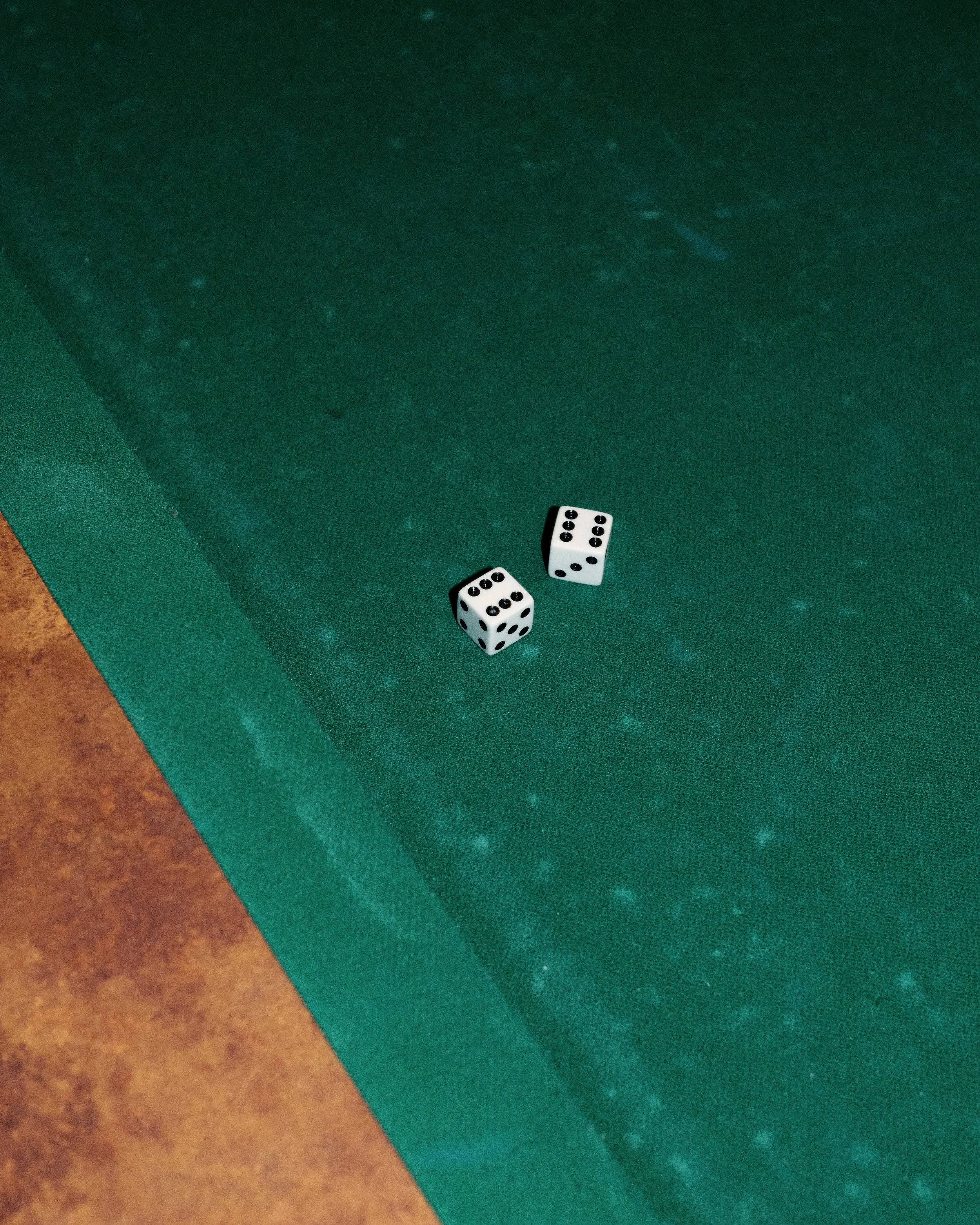5_PARADISE-2707_DicePair.jpg