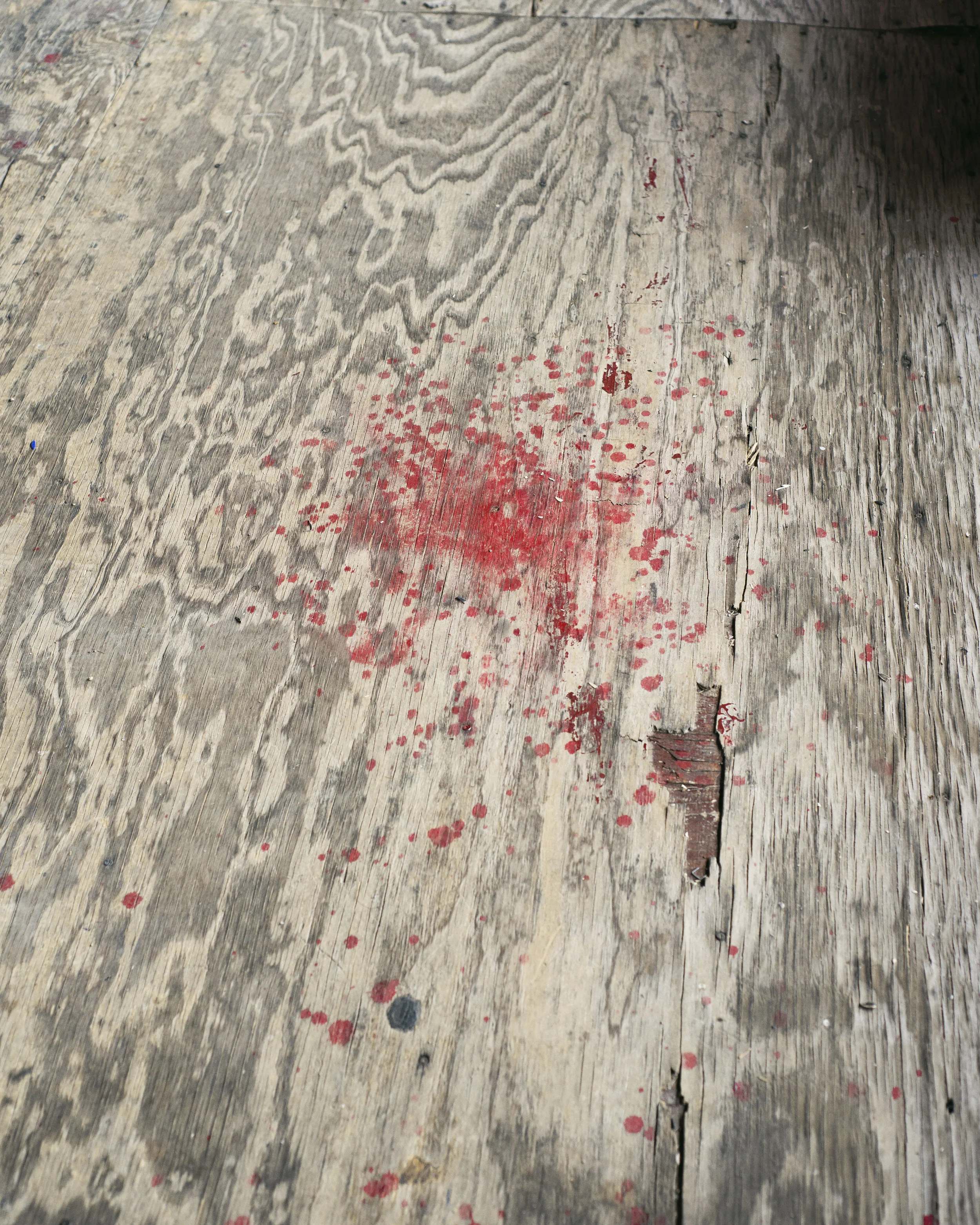 8_PARADISE-1926_RedPaint.jpg