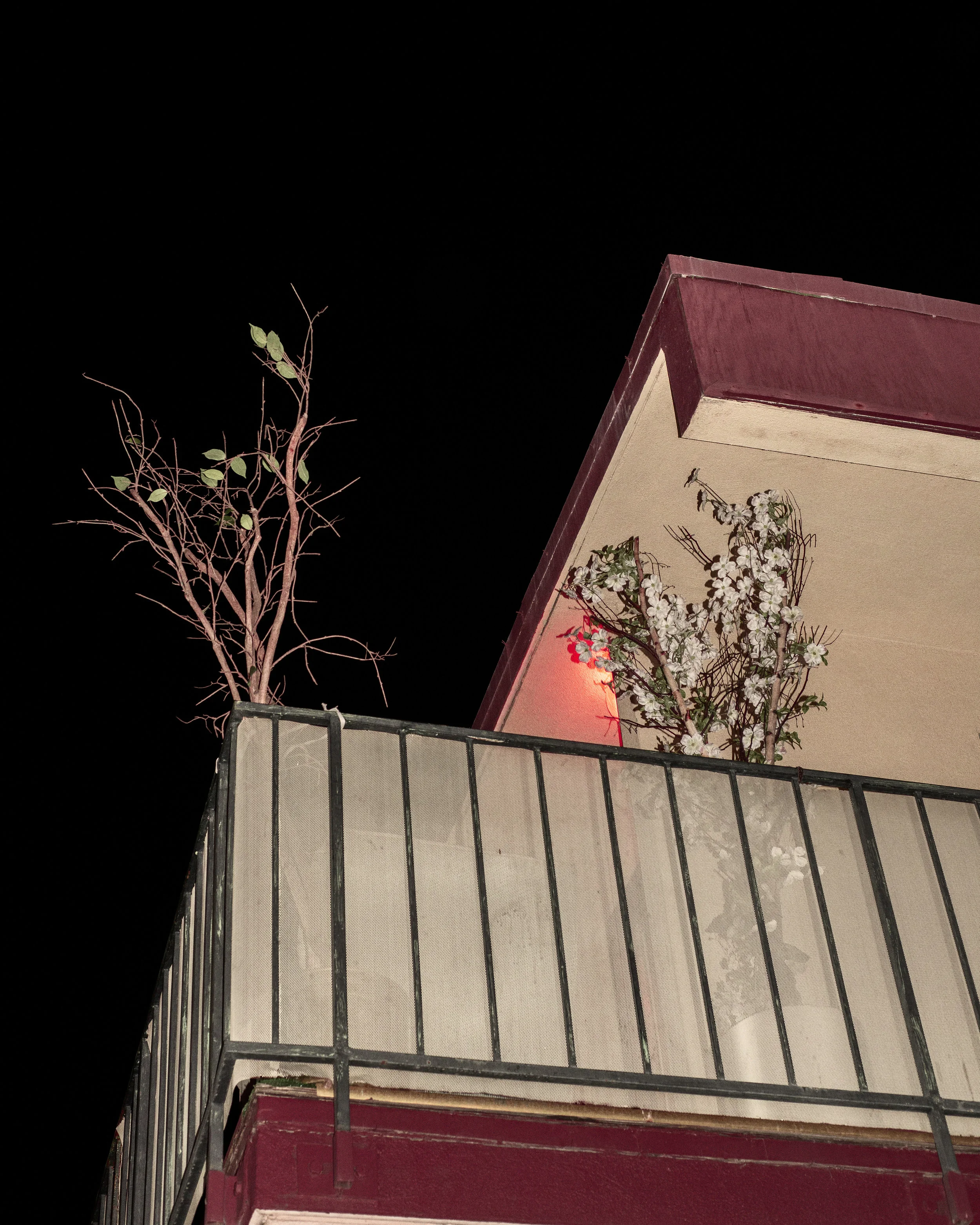 20_PARADISE-2309_LynchBalcony.jpg