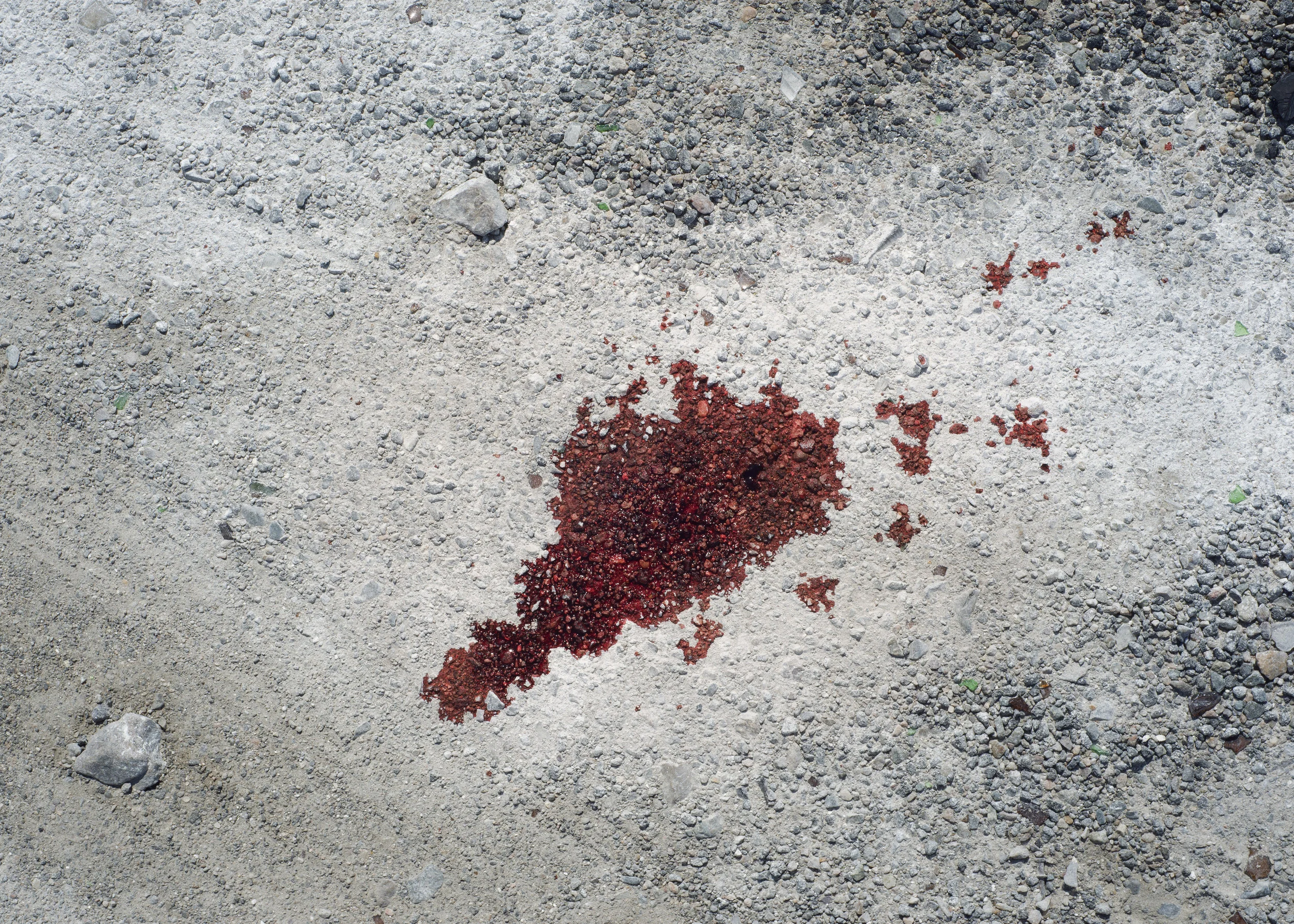 24_PARADISE-2475_Blood.jpg