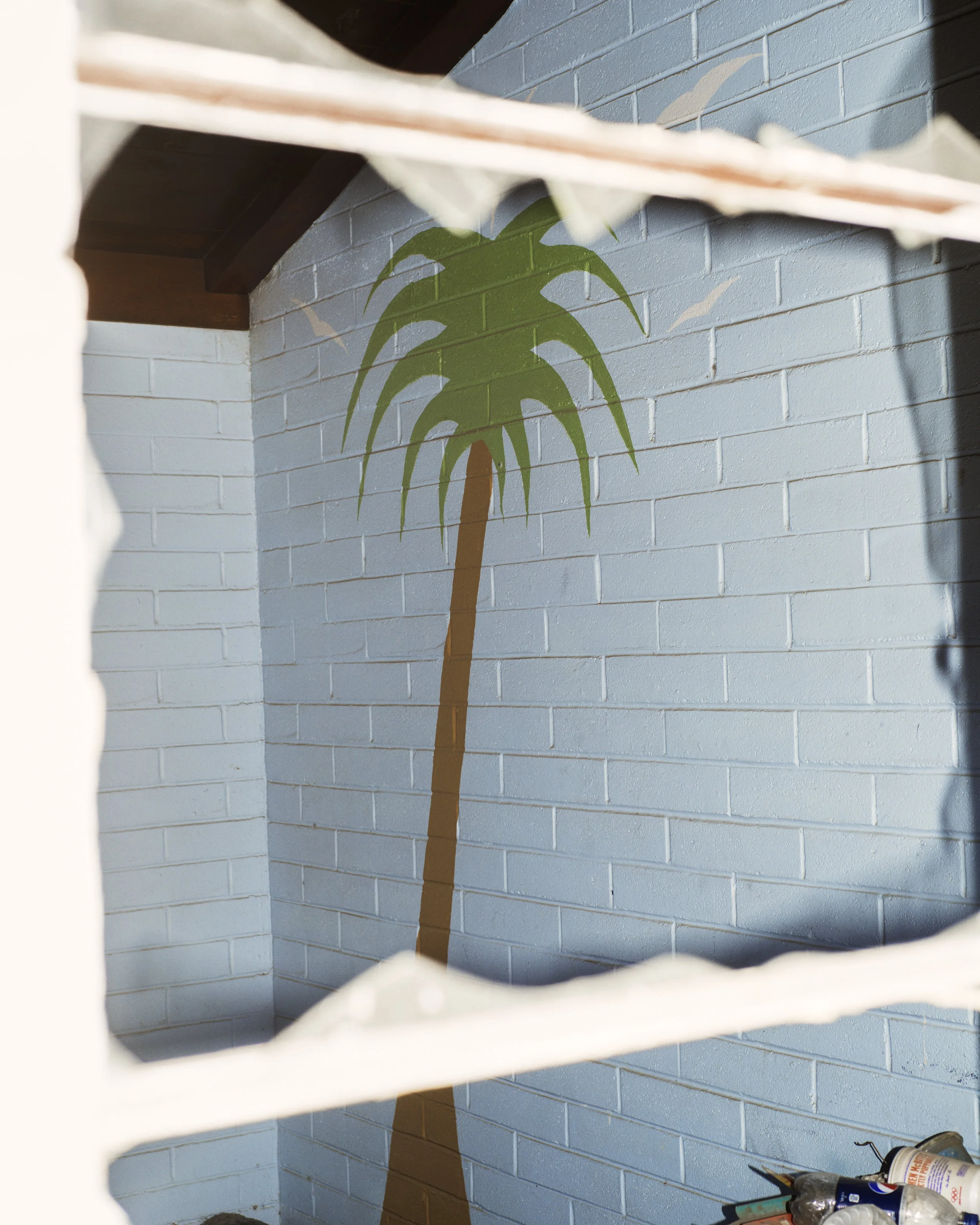 30_PARADISE-2536_ShatteredPalm.jpg