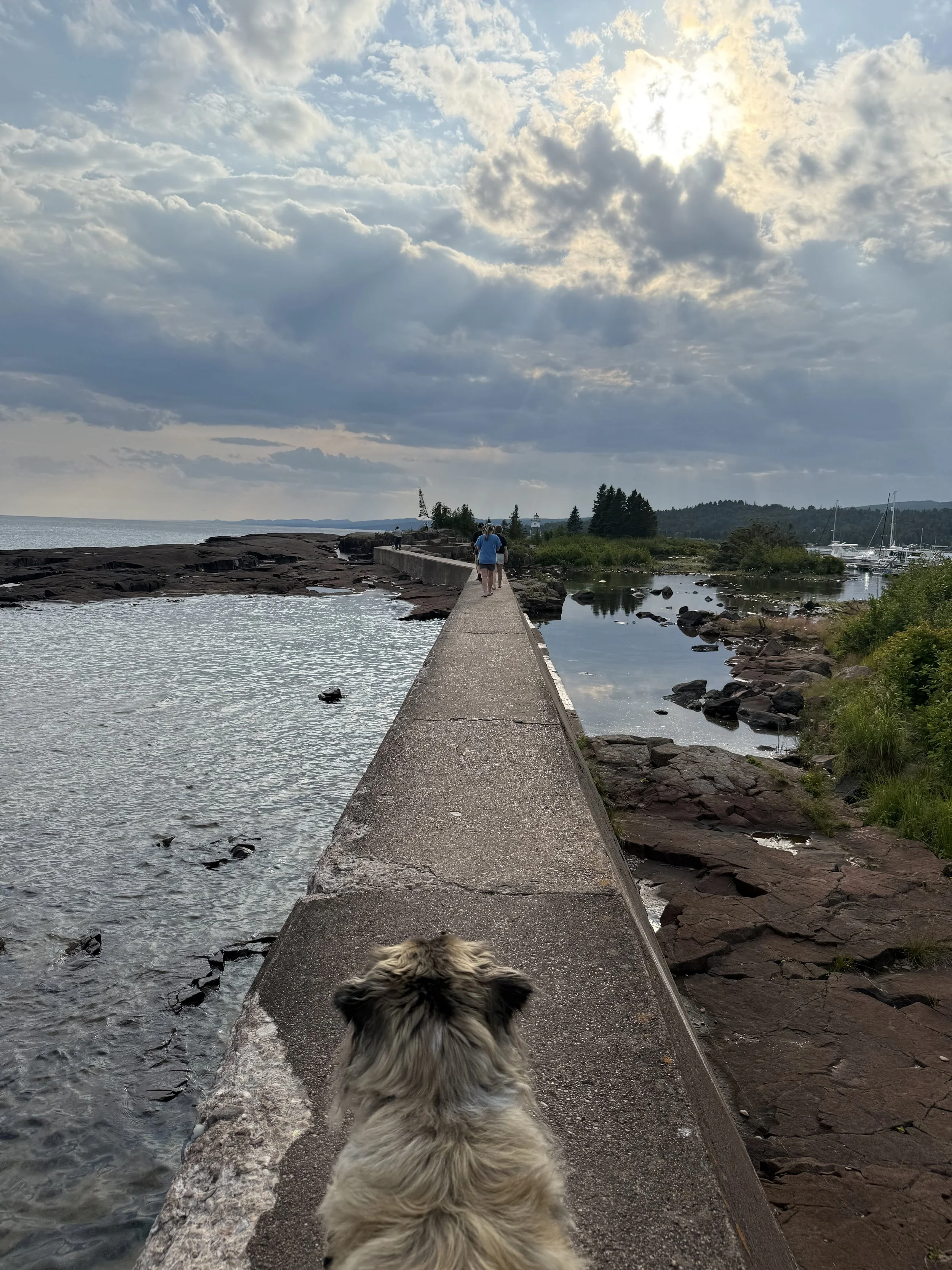 walking the seawall