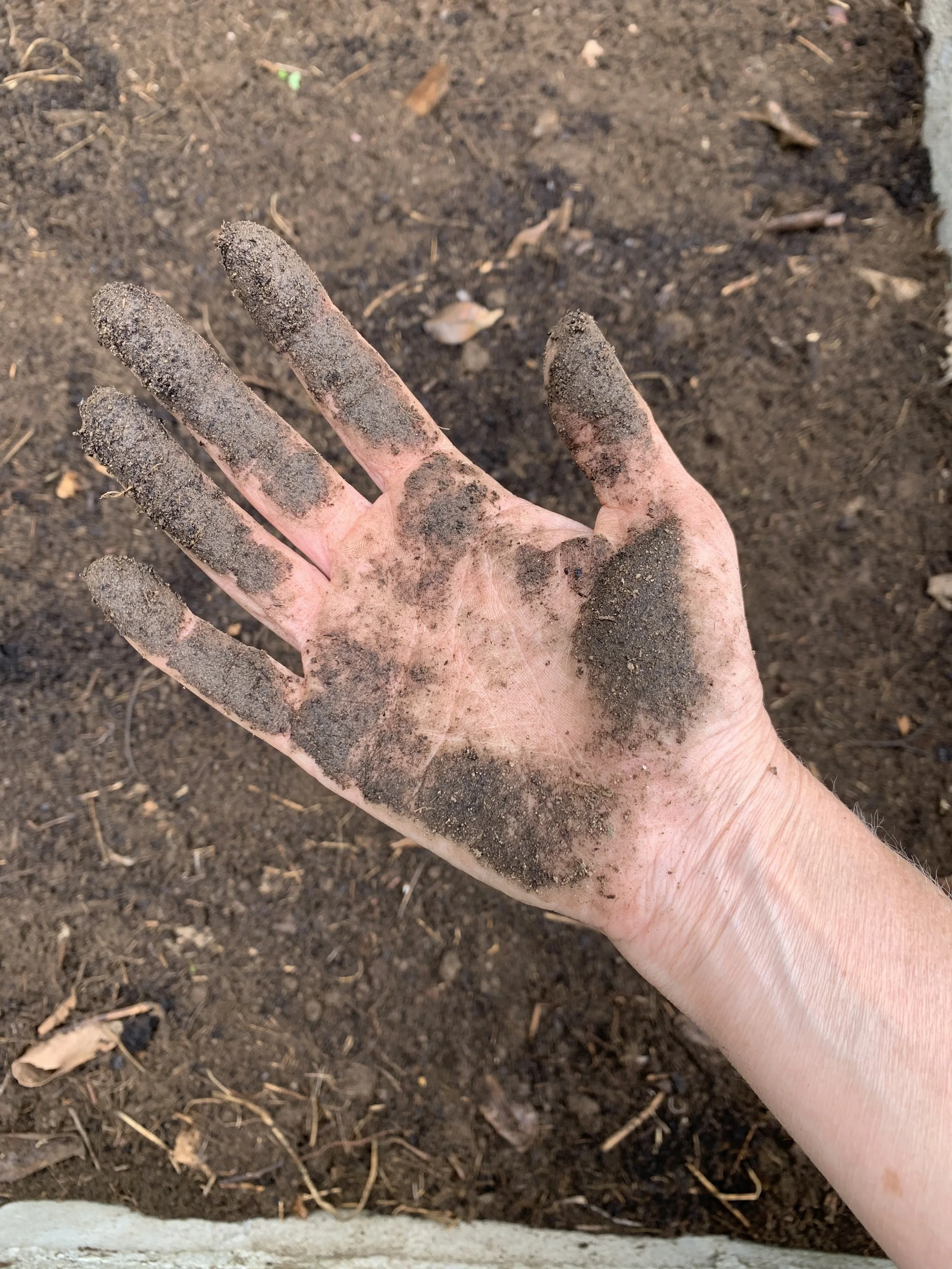 soil - a cosmic fabric of matter