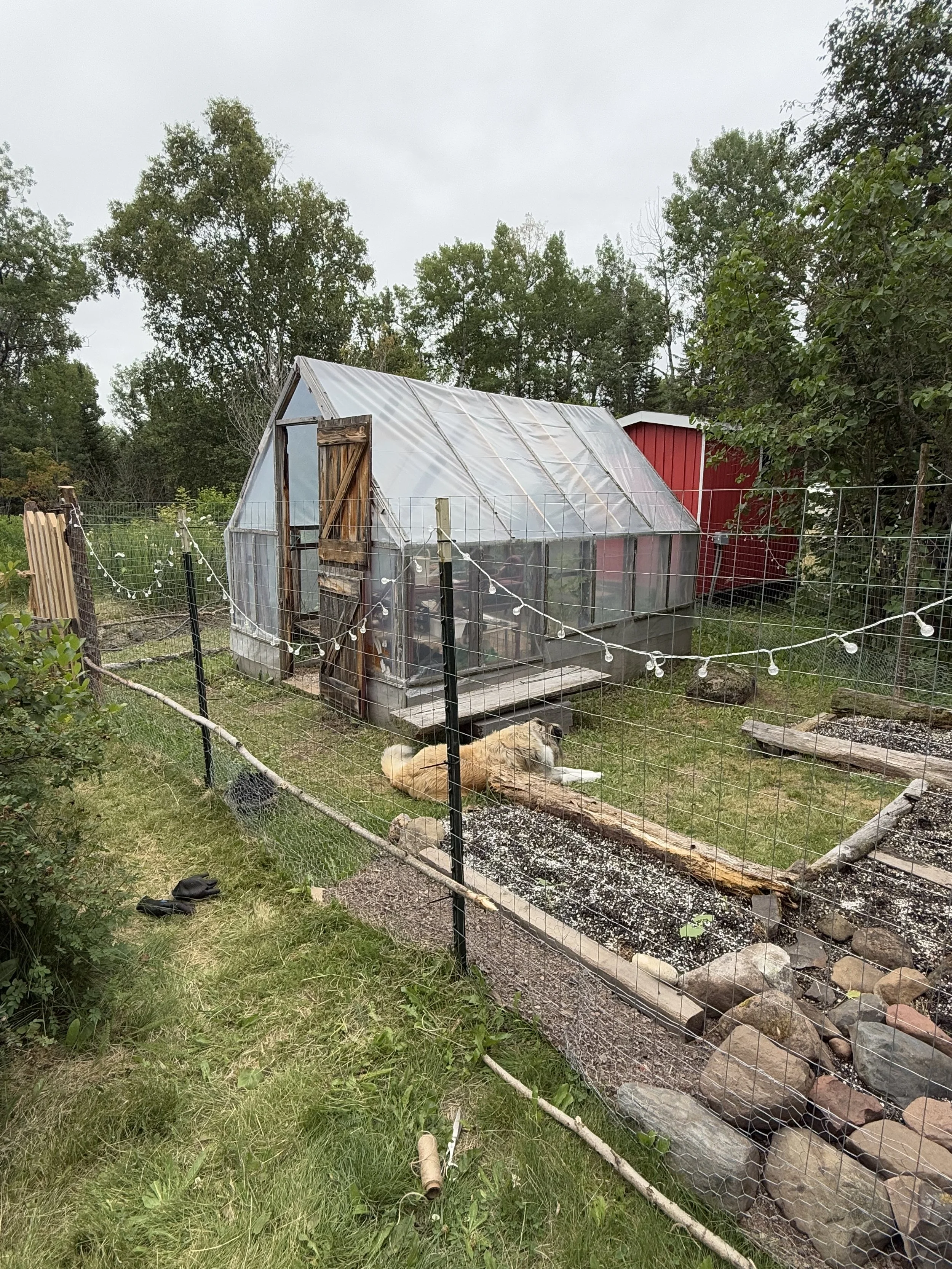 building a garden