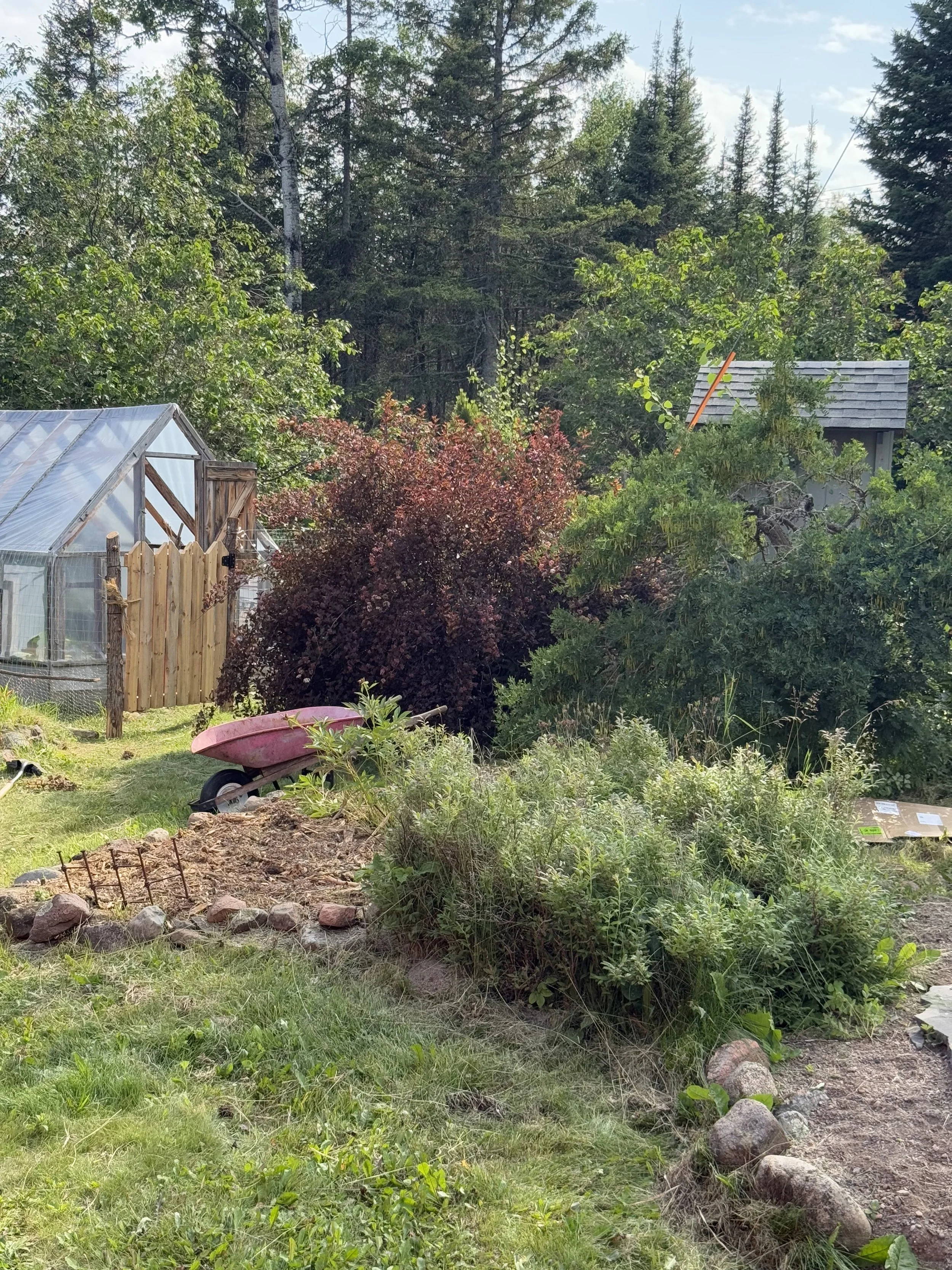 garden fence progress