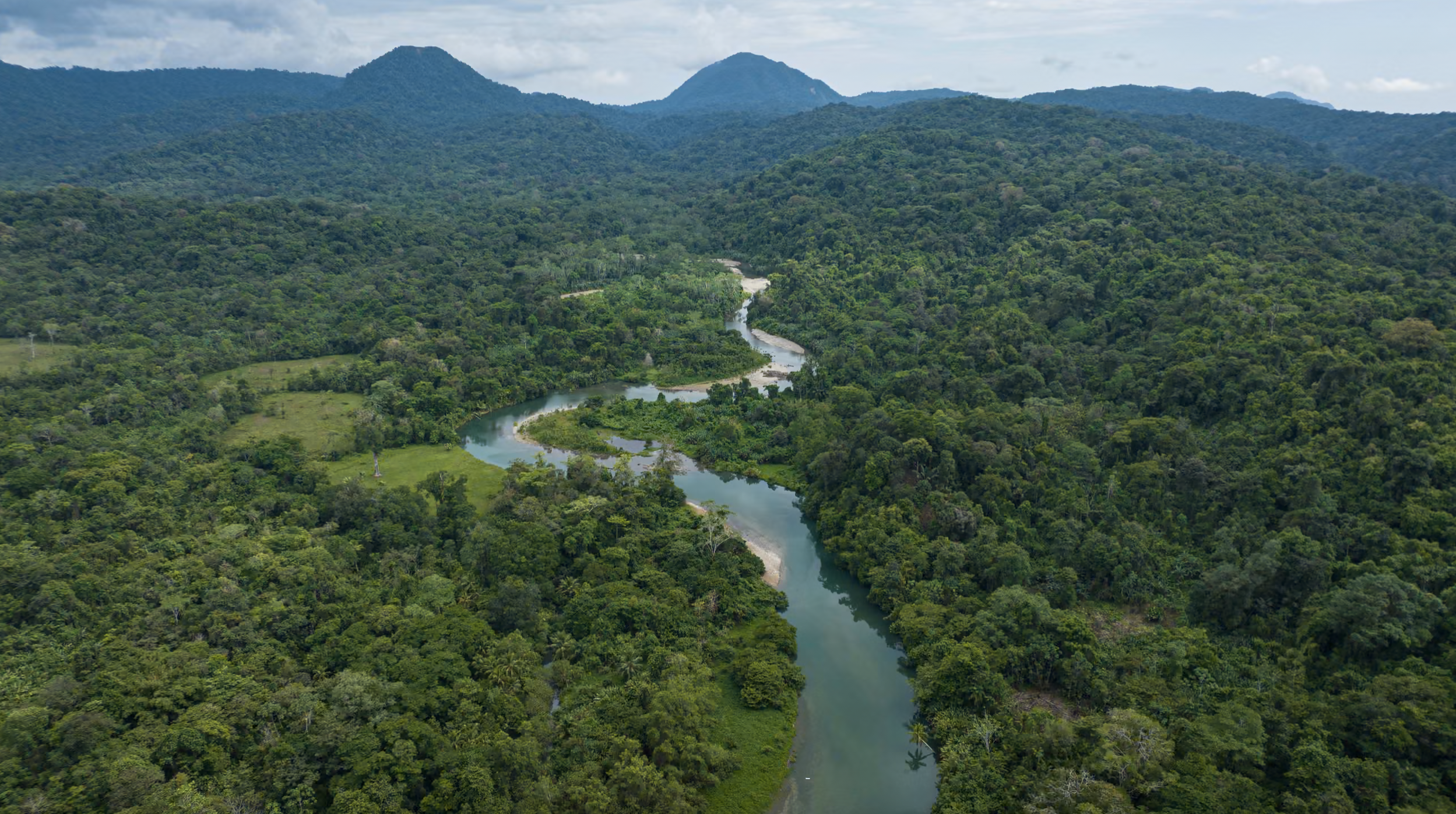 Food Forests in Latin America are boon to biodiversity